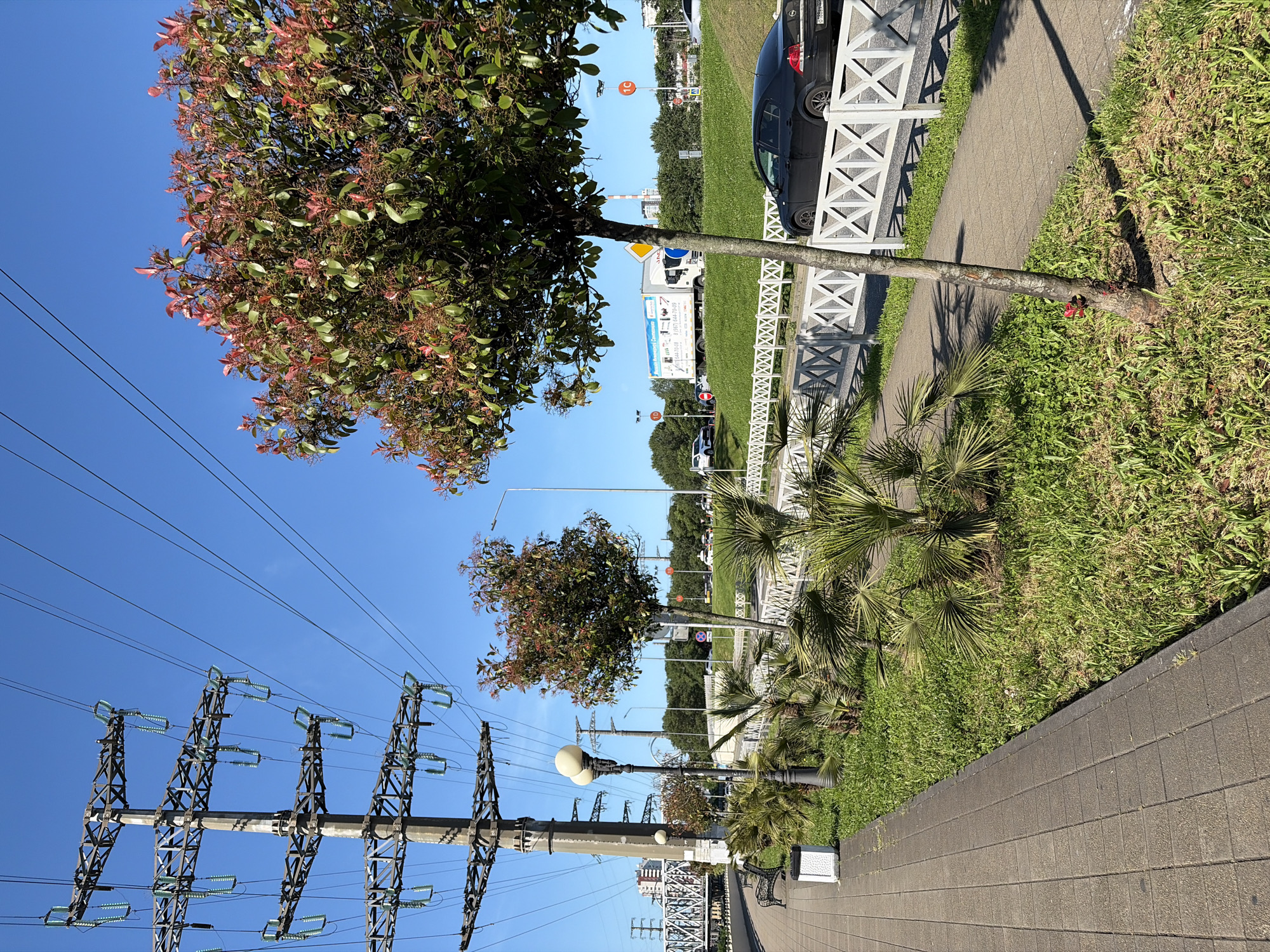 The image captures a sunlit outdoor scene, likely a roadside or park area in Sochi, Russia. In the left foreground, several large, industrial electricity pylons, constructed from metal trusses, stand prominently, supporting numerous power lines and glass insulators against a clear blue sky.
To the right, a paved walkway made of dark rectangular pavers extends into the distance. It is bordered by a strip of neatly maintained green grass, interspersed with various plants, including small palm-like shrubs and trees with vibrant green and reddish-pink new leaves. A white decorative fence with an X-pattern design runs parallel to the walkway, separating the green area from a road.
On the road, a black car is partially visible behind the fence, and a large white truck is seen further down. Several streetlights with spherical lamps are positioned along the road. In the mid-distance, more trees line the road, and various buildings are visible in the background. Traffic signs, including a yellow diamond-shaped sign and a red circular sign, are also present near the road.
The bright lighting and distinct shadows cast by the trees and structures indicate a clear, sunny daytime. No people are visible. Text is present on the side of the white truck, but it is too small and blurred to be clearly legible, although some numbers like "350 000" can be vaguely discerned.
