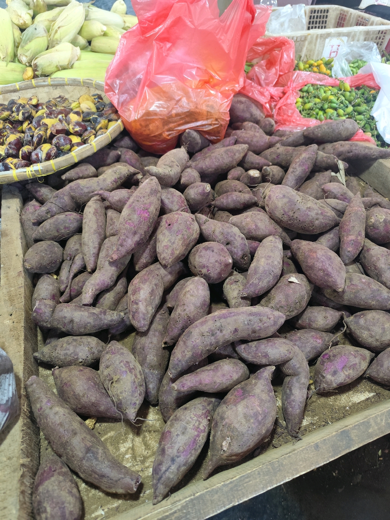 A close-up, eye-level shot captures a market stall in Bogor, Indonesia, filled with a variety of fresh produce. In the foreground, a large pile of raw purple sweet potatoes is the main subject, filling a wooden crate. The potatoes are irregular in shape, with some appearing smooth and others rough with visible dirt. Behind them, a woven basket overflows with roasted chestnuts, their shells cracked open to reveal the nut inside. Further back, bright yellow corn cobs are piled high, their husks partially peeled. A bright red plastic bag, likely containing more produce, sits prominently amongst the vegetables. Smaller green vegetables, possibly peas or beans, are visible in white plastic bags in the background, along with a white plastic crate. The lighting is natural and diffused, highlighting the textures and colors of the fresh produce.