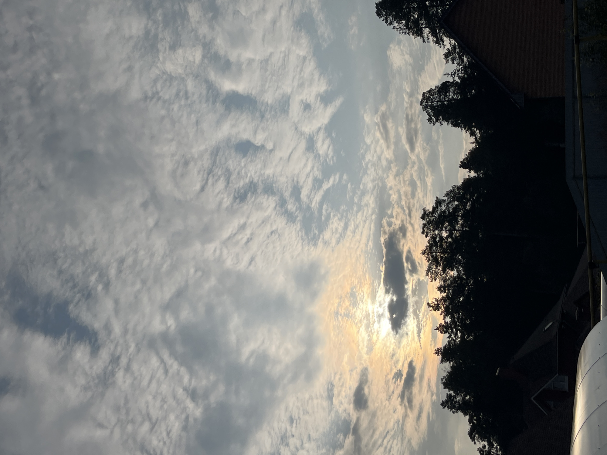This is a vertical, mid-range shot of a sky filled with dynamic clouds, with a silhouette of trees and rooftops at the bottom. The sun is partially obscured by clouds in the lower left portion of the sky, casting a warm, diffused light with hues of yellow and orange. The clouds are varied, with some appearing wispy and white, while others are darker and more dense. Beneath the sky, a dense line of evergreen trees forms a dark, jagged silhouette across the middle of the frame. In the foreground, the dark silhouettes of several rooftops are visible, including a brick house with a pointed roof on the right and another structure with a curved, metallic-looking surface on the left. The scene appears to be a residential area on the outskirts of the city of Chaikovsky, Russia, likely captured during either sunrise or sunset given the lighting. No people are visible in the image.
