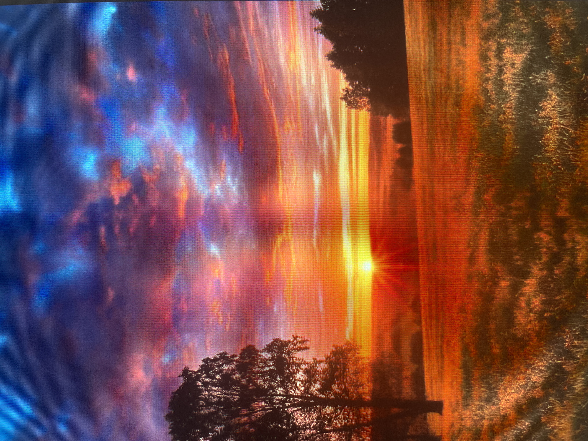 The image depicts a vibrant sunset over a rural landscape. The sky is a dramatic display of colors, with hues of deep blue, purple, pink, and bright orange dominating the scene. Clouds are scattered across the sky, catching the light and adding texture to the atmospheric display.
In the foreground, a field of tall grass is illuminated by the warm, golden light of the setting sun, which is partially visible on the horizon. The light casts long shadows and gives the grass a luminous quality. To the left, a silhouette of a large tree stands prominently against the colorful sky. On the right side of the image, a dense line of trees forms a dark silhouette against the horizon. The overall impression is one of natural beauty and tranquility, characteristic of a rural setting. There are no people, animals, or man-made structures other than the implied presence of the camera capturing the scene, evident from the pixelated texture of the image. The location is identified as Sinyavino, Russia, suggesting a natural landscape within or near this area.