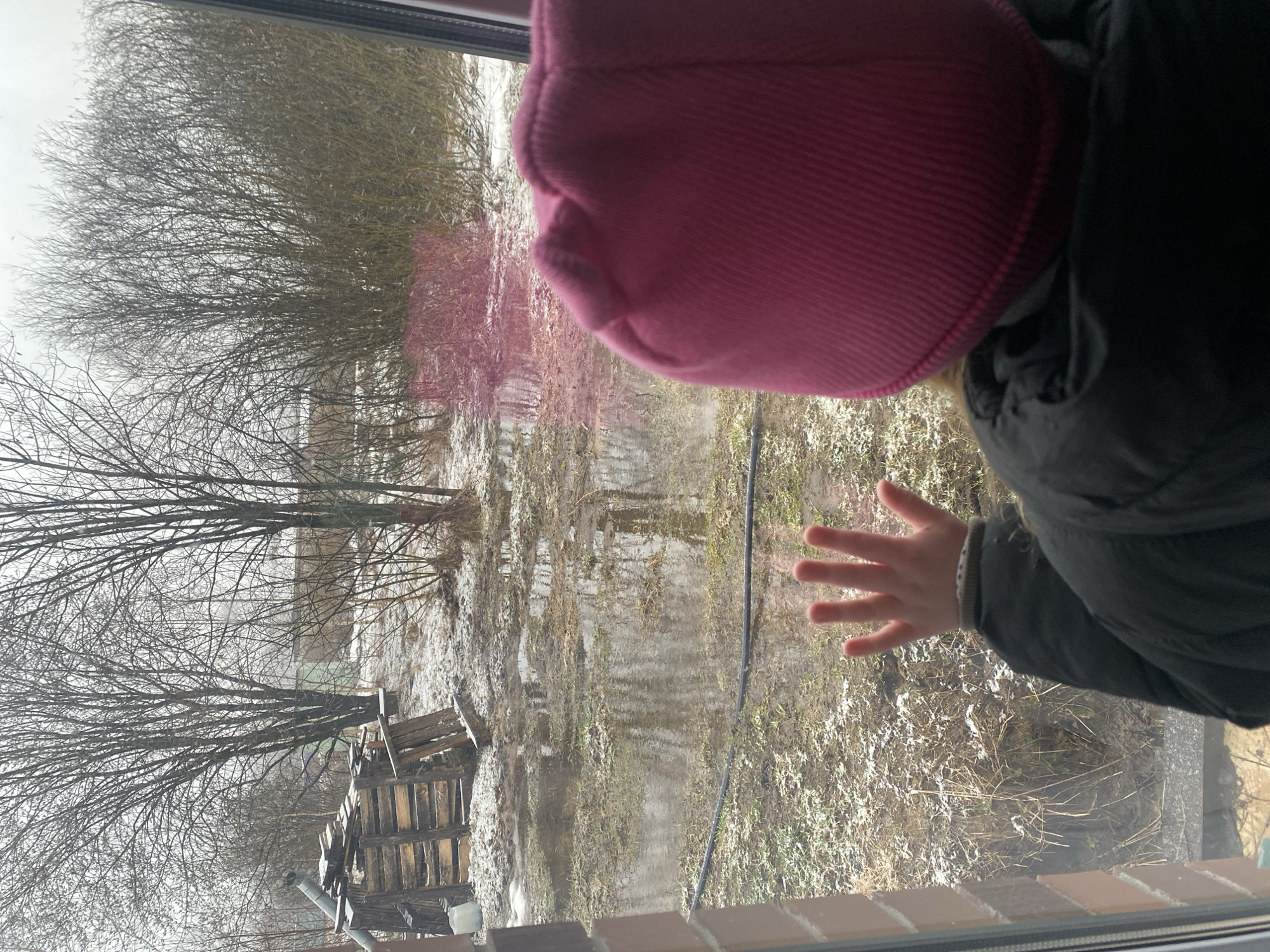 A child wearing a pink hat and black jacket is observed near a window. The child's hand is extended towards the window pane. Outside, the landscape reveals a muddy terrain with remnants of snow. Leafless trees dominate the background. A wooden structure is visible near the ground. The location is presumed to be Izhevsk, Russia.