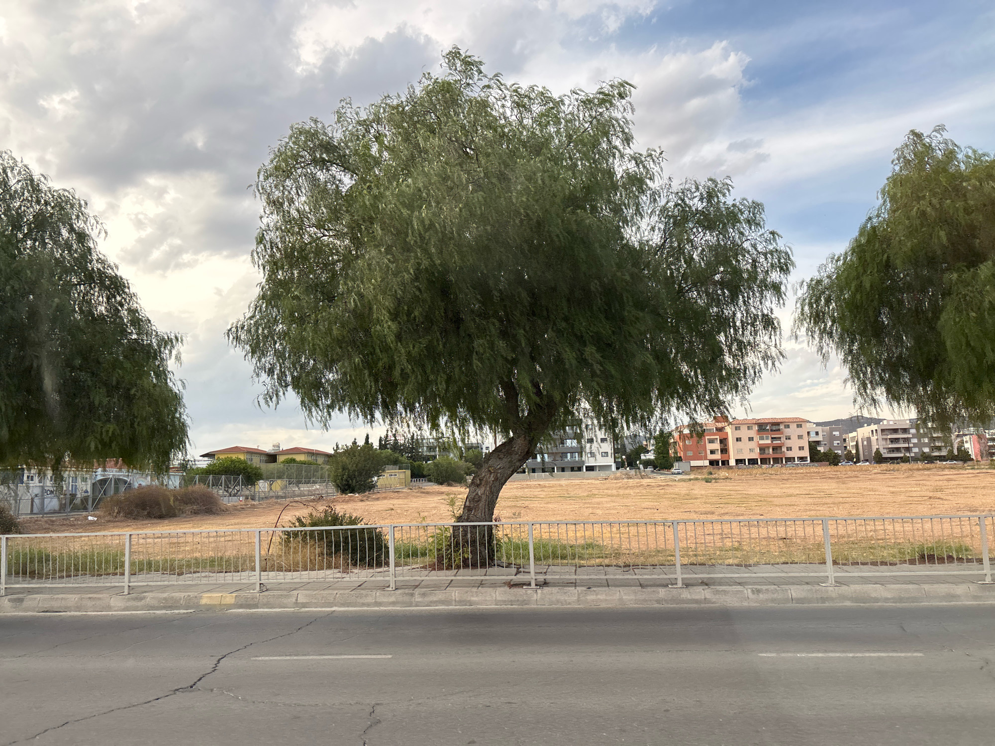 The image depicts a street scene in Mesa Geitonia, Cyprus, under a cloudy sky. In the foreground, a cracked asphalt road runs horizontally across the frame. A metal railing separates the road from a sidewalk, which is paved with concrete. Beyond the sidewalk, a dry, grassy field is visible, with sparse vegetation. Several buildings, including apartment complexes with balconies and a few smaller structures, are situated in the background. A prominent tree with green, drooping foliage stands in the center of the frame, its trunk leaning slightly. Other trees with similar foliage are partially visible on the left and right sides of the image. The overall impression is one of an urban environment with a somewhat neglected or undeveloped open space.