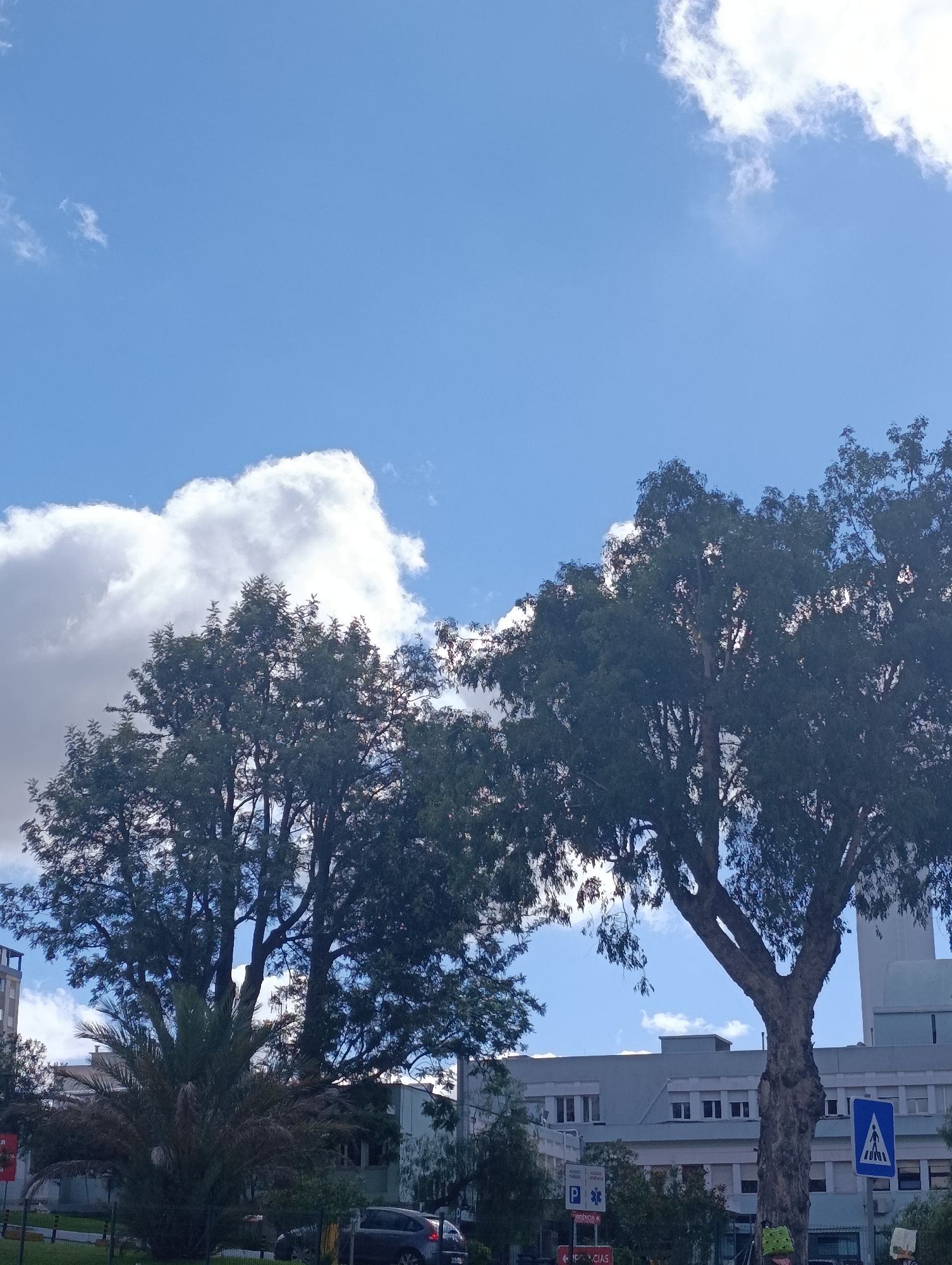 The image depicts a street view with two large trees in the foreground against a blue sky with white clouds. In the background, a light gray building complex with numerous windows is visible. A blue and white pedestrian crossing sign is mounted on a pole to the right of the frame, and a smaller white sign with a blue cross and the word "URGÊNCIA" (Emergency) is also present. A dark-colored car is parked on the street, partially obscured by the trees. The scene appears to be on a bright day, suggesting an outdoor urban environment. The presence of the building and signage suggests a public area, possibly near a hospital or medical facility.