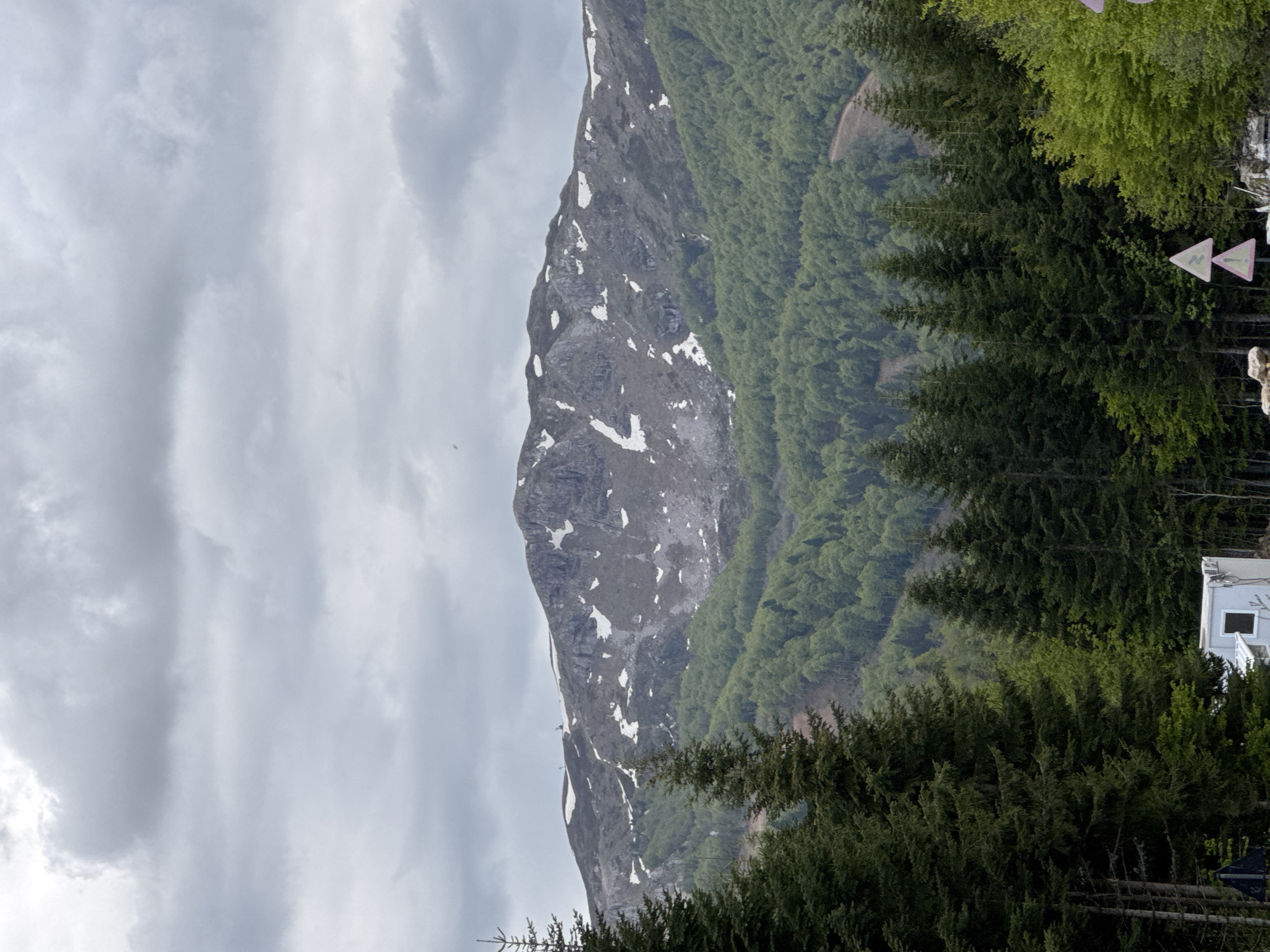 A mountain partially covered in trees and some snow patches under a cloudy sky. The location is Katun Bačko brdo, Montenegro. Some pine trees appear in the foreground on the right. A white building with a window is visible among the trees. Also on the right, there are some trail signs.