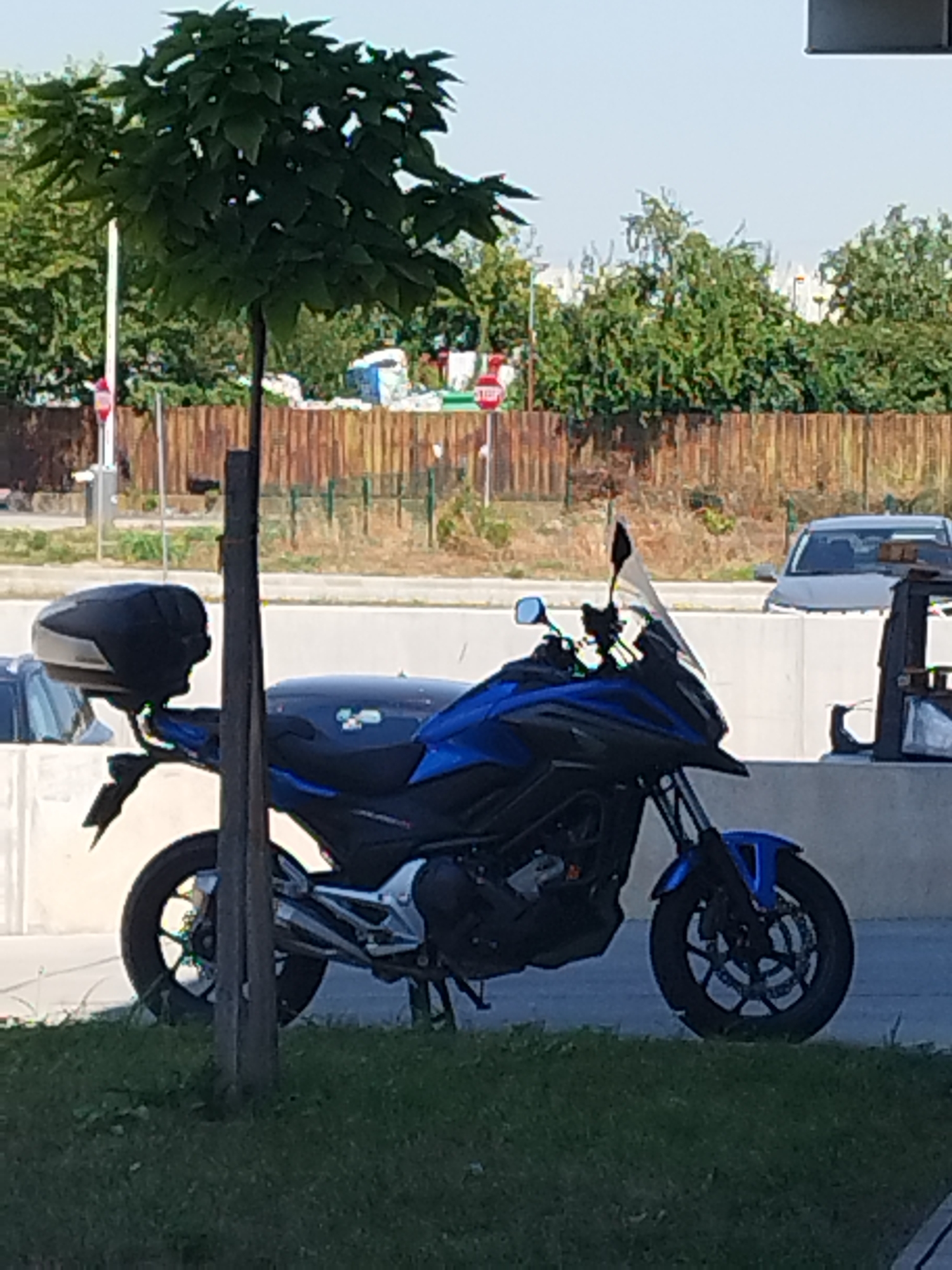 A blue and black motorcycle is parked on a grassy area next to a concrete barrier. The motorcycle has a black top case and a clear windshield. In the background, there is a wooden fence, trees, and a silver car. A small tree with lush green leaves is positioned in front of the motorcycle, obscuring a portion of the scene. The location is Cernica, Romania.