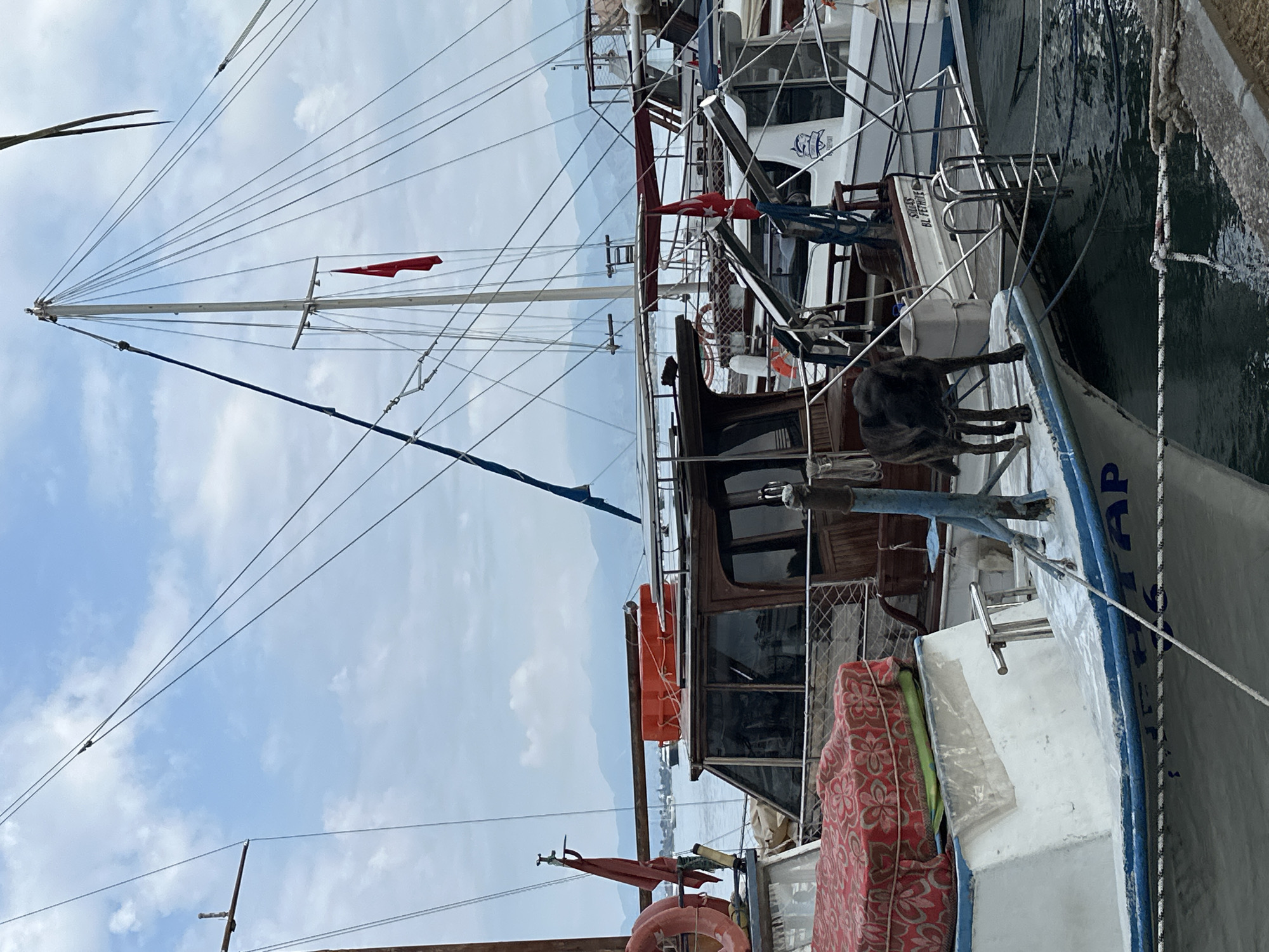 The image shows several boats docked in Fethiye, Turkey. One boat has a black dog standing on the deck. Turkish flags are visible on several of the boats. Masts and rigging extend upwards against a partly cloudy sky. A red patterned fabric is stowed on one of the boats. The hulls are various shades of white, brown and blue.