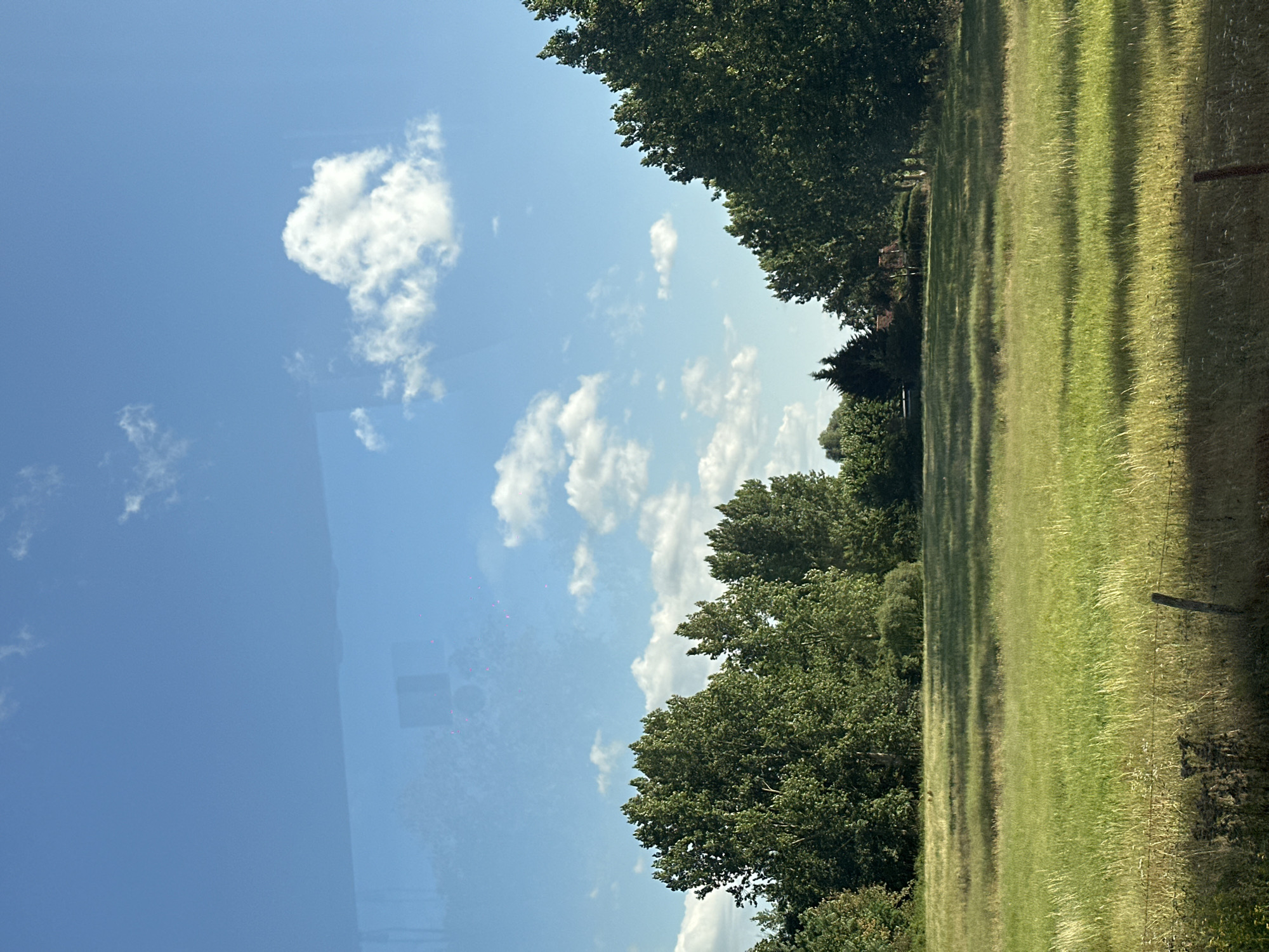 The image depicts a sunlit grassy field bordered by a dense line of tall, mature trees. The sky is a clear blue with scattered fluffy white clouds. In the distance, a small building with a reddish-brown roof is visible amidst the trees. A simple wire fence runs along the bottom of the frame, with a single wooden post visible. The overall scene is a tranquil, rural landscape, likely in or around Aalter, Belgium.