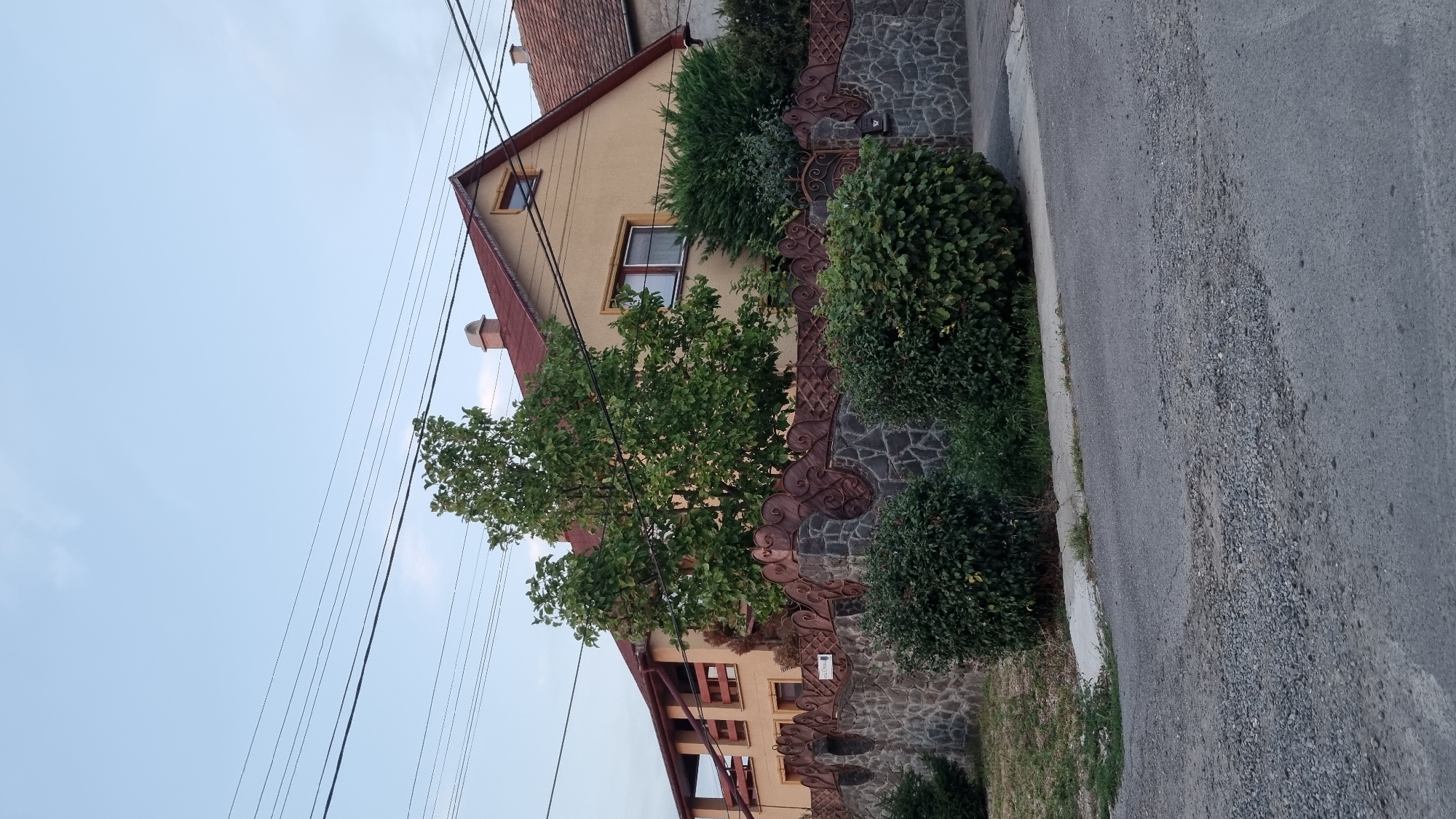 A light-yellow, two-story house with a red-tiled roof is visible from the street in Berehove, Ukraine. The house has several windows, including a small attic window. A decorative, dark-brown metal fence with stone accents runs along the front of the property, topped with an ornate metal railing. Several green bushes are planted in front of the fence. A large tree with green leaves stands to the left of the house, partially obscuring it. Overhead power lines are visible against a pale blue sky. The street in the foreground is paved with asphalt and shows signs of wear and some gravel.