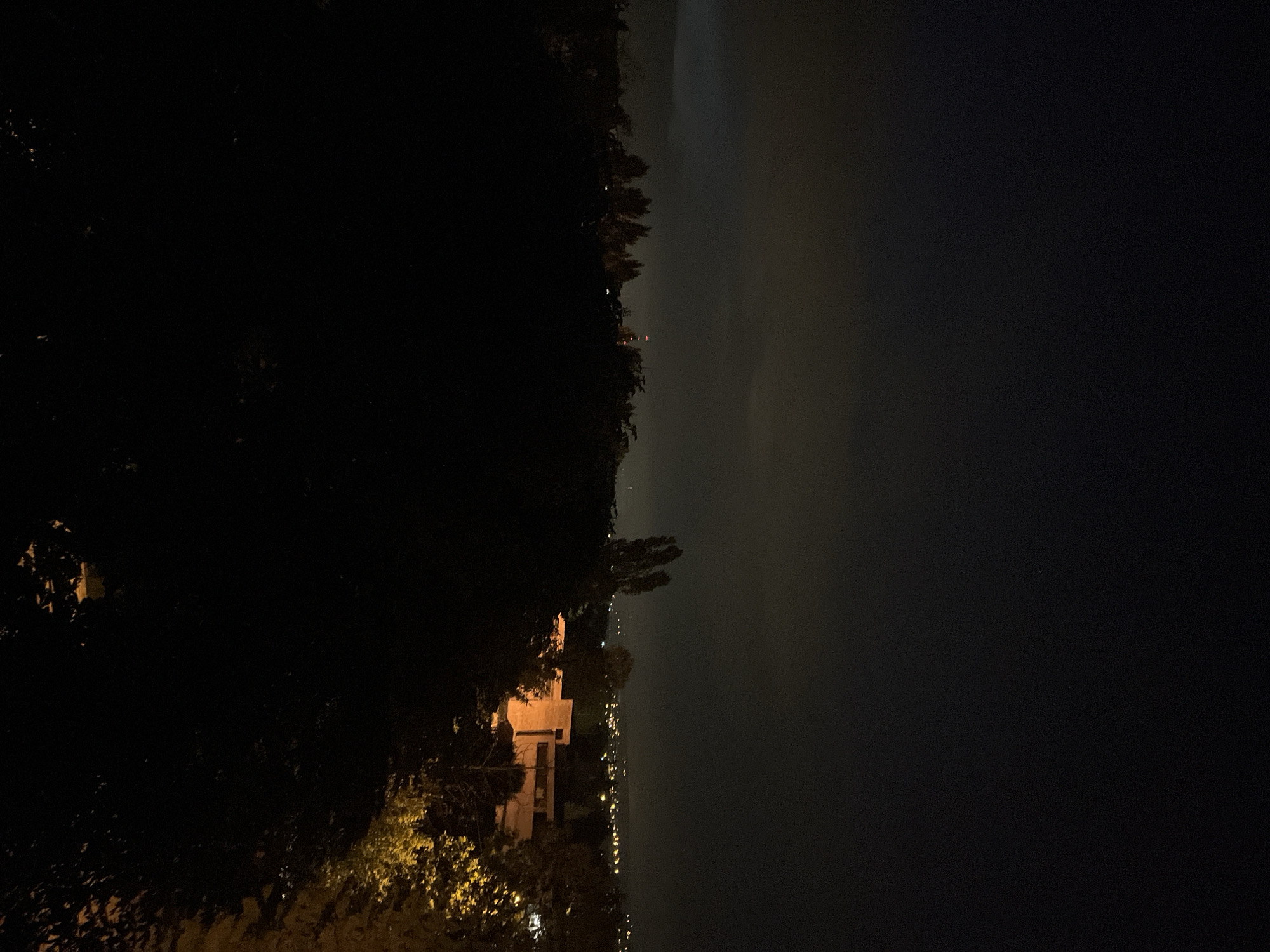 The image, correctly oriented, displays a nocturnal landscape from a elevated perspective, overlooking a body of water or valley with distant lights. The left side of the frame is dominated by the dark silhouettes of dense foliage and trees, some of which are subtly illuminated by a warm, unseen light source. Partially visible through the trees in the midground is a light-colored building, possibly beige or light brown, with at least one window radiating a warm glow.
Stretching into the distance, along what appears to be a shoreline or a road bordering a body of water, is a distinct line of numerous small, warm, yellow-orange lights, indicative of a town or city. The expanse to the right, likely water or a dark valley, is mostly featureless and deep black, with the sky above appearing very dark and hazy. No people are visible, and no specific activity is taking place other than the observation of the night scene. The overall ambiance is calm and dark, typical of late night. There is no visible text.