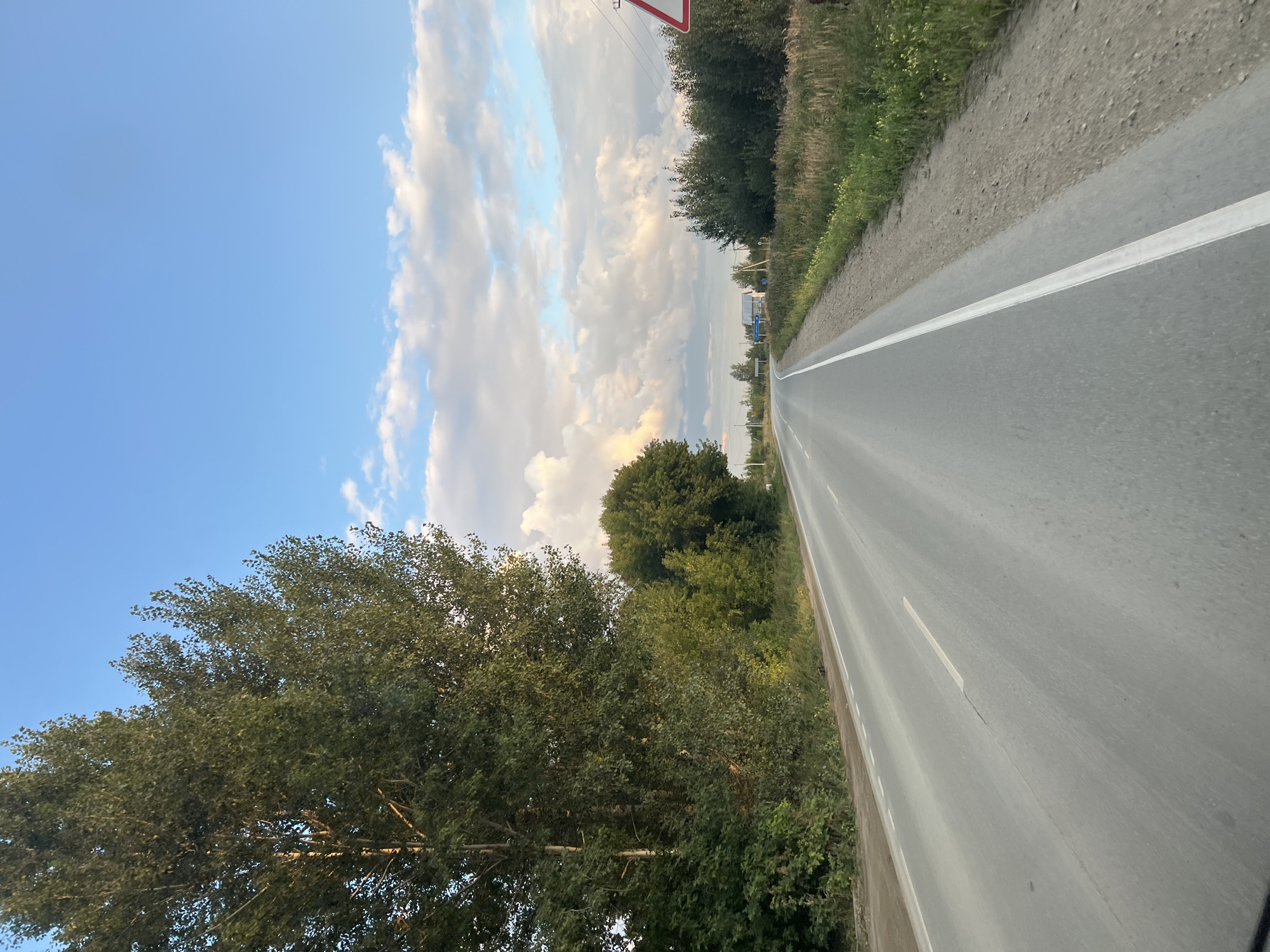 This image depicts a straight, paved road in Mochishche, Russia. The road is gray with white lane markings. To the left of the road, a dense line of trees and bushes forms a green barrier, with a particularly tall tree dominating the foreground. To the right of the road, a grassy verge with scattered wildflowers borders a dirt shoulder. In the distance, the road curves slightly, with a few buildings and power lines visible. The sky above is a clear blue with scattered white clouds, some of which are tinged with pink, suggesting it is either sunrise or sunset. A red and white triangular traffic sign is visible on the right side of the road in the middle ground. The scene appears to be rural and serene.