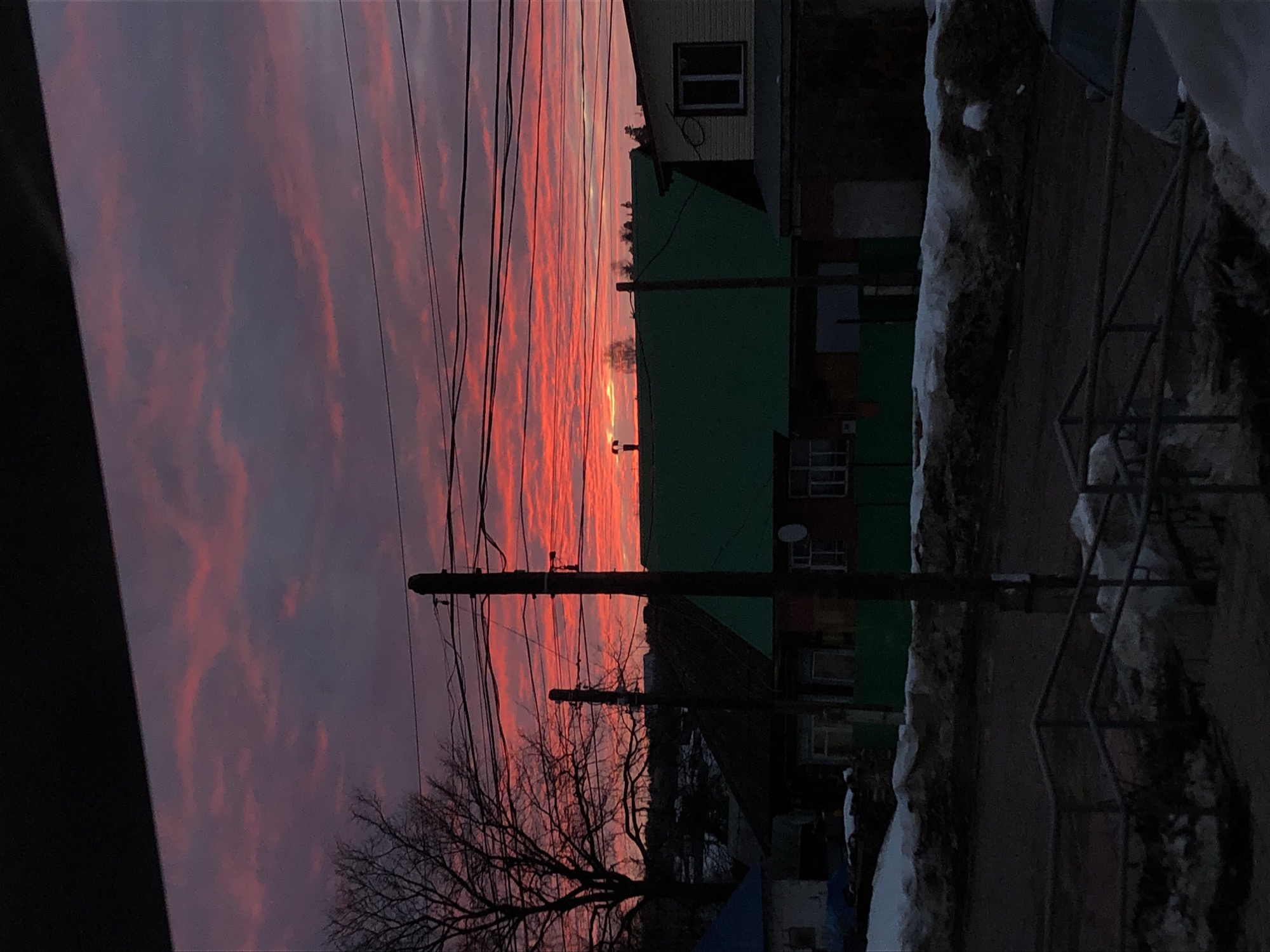 The image displays an outdoor scene in the city of Фоки, Russia, under either sunrise or sunset conditions, indicated by a sky dominated by vivid red and orange stratiform clouds. The upper left portion of the sky transitions to darker purple-blue hues. In the immediate foreground, dark metal railings are visible above accumulated dirty snow piles and a dark, unpaved road. A dark vehicle is partially visible on the lower right, facing away from the viewer. The midground features several single-story residential buildings; two prominent houses exhibit dark green sloped roofs, while another to the far left has a blue roof. Two dark utility poles, heavily laden with multiple horizontal electrical wires, stand centrally and to the right, silhouetted against the bright sky. A large, bare deciduous tree with an extensive network of branches occupies the left side of the frame. The background reveals a distant horizon line with the dark silhouettes of additional trees and faint structural elements. No individuals or active interactions are present in the scene.