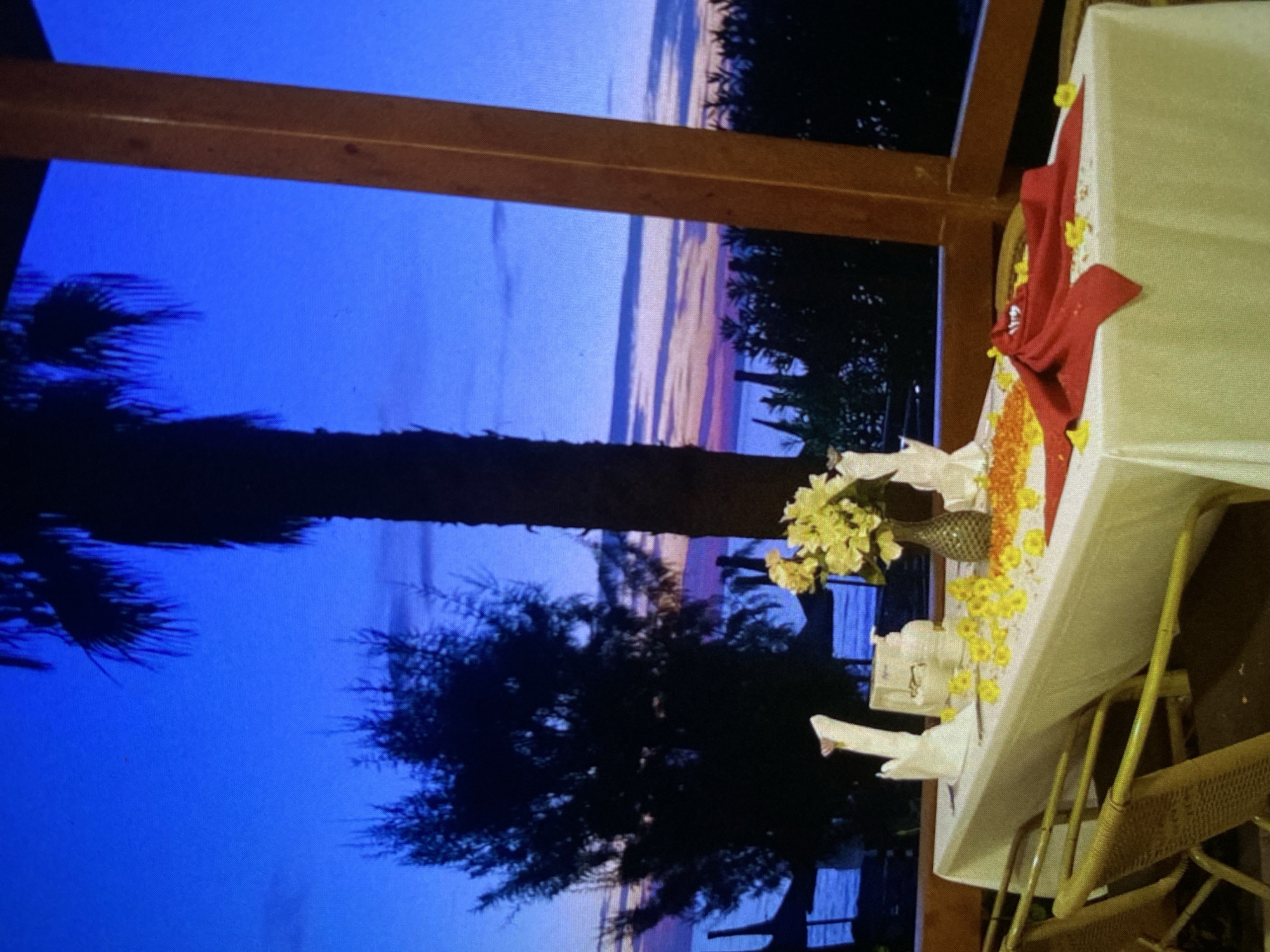 This image depicts an elegantly set outdoor or semi-outdoor dining table with a breathtaking sunset view, possibly located in Bankya, Bulgaria. The scene is dominated by a deep blue sky transitioning into softer hues of purple, orange, and pink along the horizon, indicating dusk. Silhouettes of tall palm trees and other dense foliage frame the distant vista, suggesting a serene and perhaps tropical-inspired setting.
To the right, a long dining table, covered with a crisp white tablecloth, is prepared for guests. A vibrant red fabric runner is draped across the table, adorned with scattered yellow flowers and a decorative garland of yellow and orange blossoms. A dark, ornate vase filled with bright yellow flowers sits near the center. White napkins, some intricately folded into the shape of swans, are placed at each setting. The chairs visible are made of a light-colored material with a woven or wicker texture, complementing the relaxed outdoor ambiance. A wooden beam, part of a pergola or roof structure, runs across the top of the frame, partially obscuring the sky.
No people are visible, and no text is discernible in the image. The setting suggests an intimate evening event or a romantic dinner, characterized by a peaceful atmosphere and the natural beauty of the sunset.
