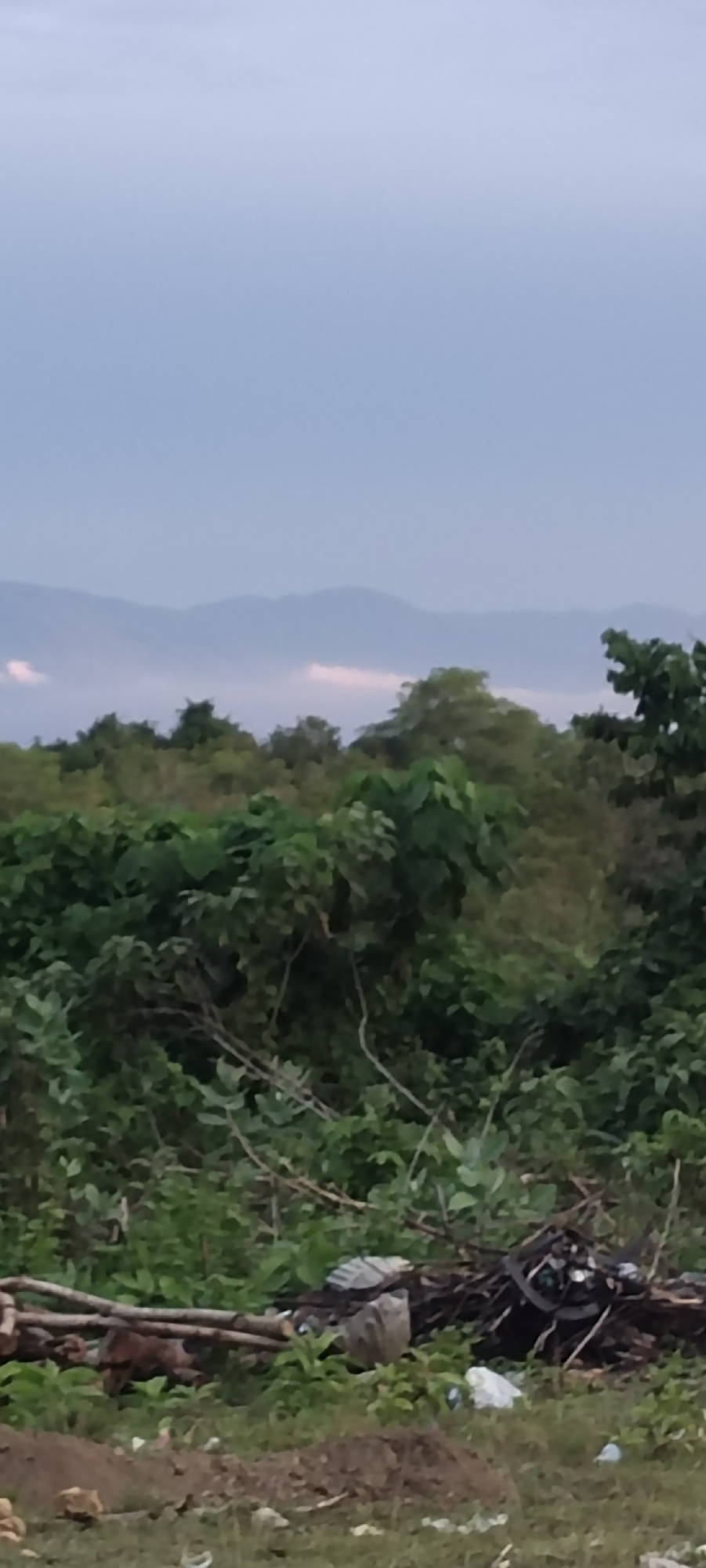 The image shows a landscape in Lhokseumawe, Indonesia, under an overcast sky. In the distance are mountains, partially obscured by haze. The midground is dominated by dense, green vegetation consisting of trees and shrubs. In the foreground, there is a pile of litter and debris, including branches, plastic bags, and other refuse. The ground is dirt or soil with some vegetation. There are no people visible in the image.