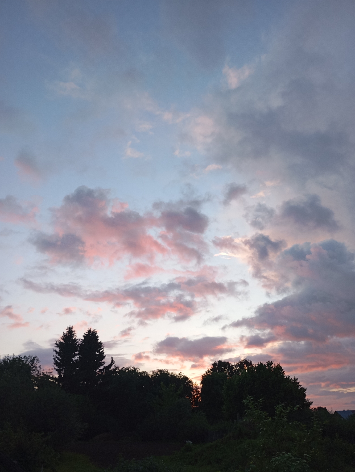 The image depicts a twilight sky over a silhouetted treeline. The sky displays a gradient of pale blue to a soft pink, with scattered clouds. Some clouds are tinted with pink hues, suggesting the setting or rising sun. The foreground is dominated by dark silhouettes of trees, with hints of foliage visible. The overall impression is of a peaceful, natural landscape at dusk. There are no people or identifiable buildings in the frame, nor any actions or interactions taking place. The location in the city of Фоки, Russia, cannot be determined from the visual information provided.