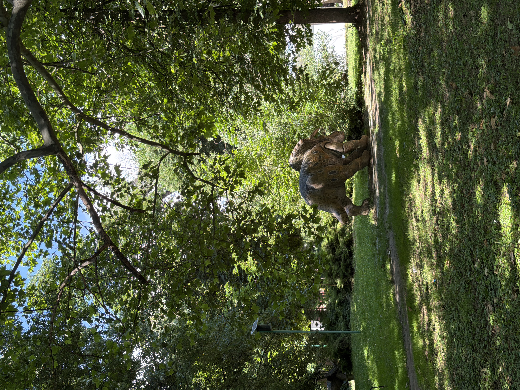 The image depicts a park in Pazardzhik, Bulgaria, featuring a sculpture of a dinosaur. The sculpture is positioned on a grassy area, with a paved pathway curving in front of it. The dinosaur sculpture is detailed, appearing to be made of stone or a similar material, with textured skin and large, sturdy legs. It is facing towards the right side of the frame, with its body angled. Surrounding the sculpture and pathway are mature trees with lush green foliage, casting dappled shadows on the grass. Sunlight filters through the leaves, creating a bright and natural atmosphere. A tall, thin pole with a small solar panel at the top is visible to the left of the dinosaur sculpture, possibly a bird feeder or light fixture. The ground cover includes both grass and a dense layer of small green plants. In the background, beyond the trees, a white structure is partially visible, suggesting it might be a building or a fence. The overall scene is one of a serene, outdoor public space with an educational or artistic element.