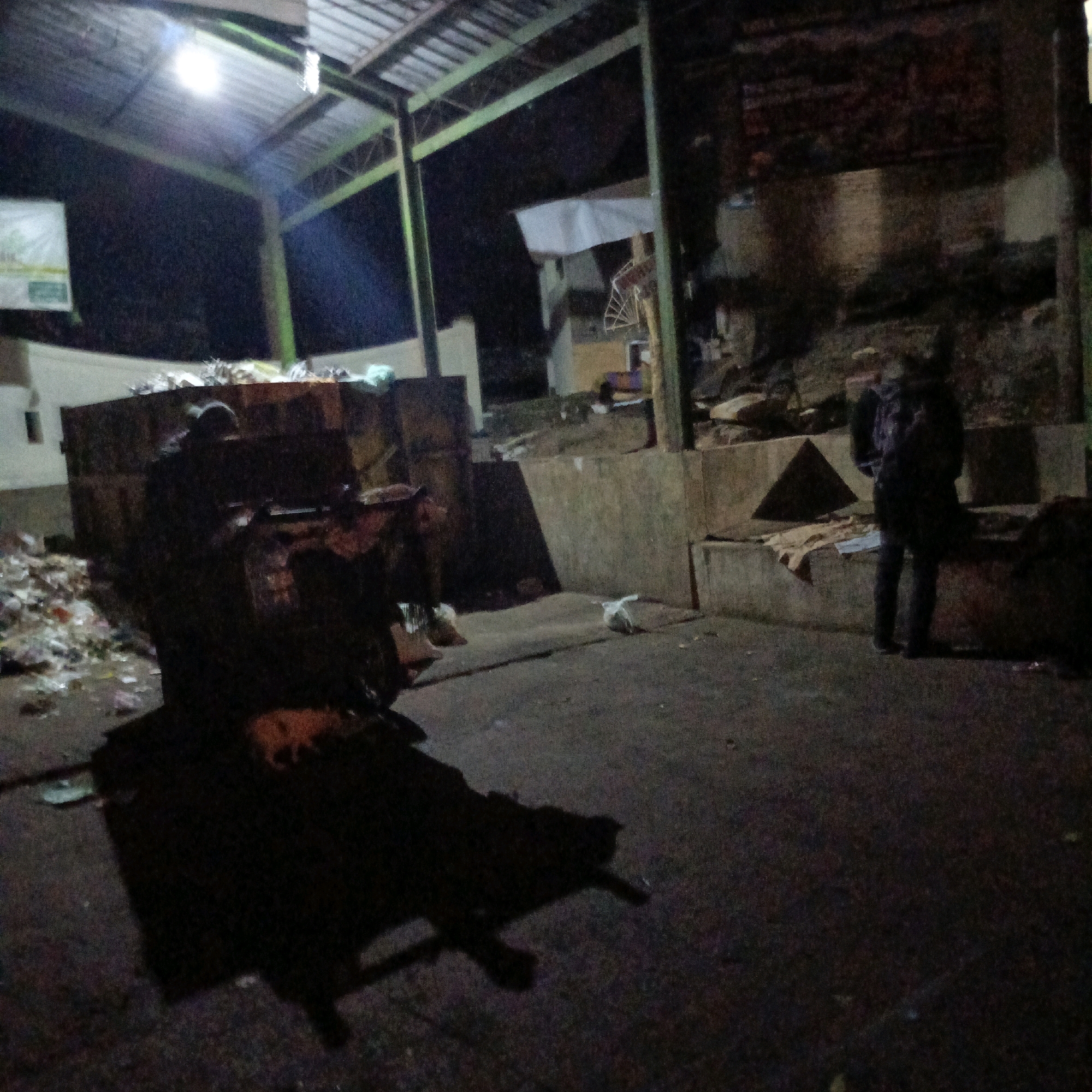 The image depicts an outdoor area at night, likely a waste disposal or collection point, situated in Salatiga, Indonesia. A large, dark-colored skip bin is prominent in the foreground, partially filled with refuse. The ground is paved and appears to be covered in debris. To the left of the skip bin, a pile of garbage is visible. Overhead, a metal structure with a corrugated roof provides partial shelter, illuminated by a bright light source, possibly a street lamp.
In the mid-ground, a person is visible on the right side of the image, standing near a concrete barrier and a triangular object. This individual is wearing dark clothing and a backpack. Further into the scene, a smaller, dark-colored object, possibly a domestic animal like a cat, is visible on a dark shadow cast by the skip bin. The environment appears somewhat neglected, with scattered litter and a general sense of disarray consistent with a waste management area. The lighting suggests it is nighttime, with artificial light sources casting shadows.