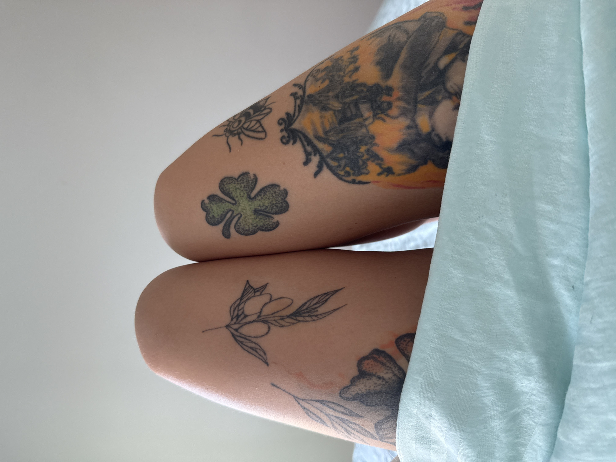 An extreme close-up shot shows a person's thighs covered in tattoos. On the left thigh, there is a tattoo of a branch with leaves and olives, and a larger, partially visible tattoo of a butterfly-like creature with orange and black details. On the right thigh, there is a green clover tattoo, a black tattoo of a flying insect, and a large, colorful tattoo that appears to depict a landscape within an ornate frame. The person is lying down, and their legs are partially covered by a light blue fabric. The background is a plain, light-colored wall. The image is taken from a low angle.