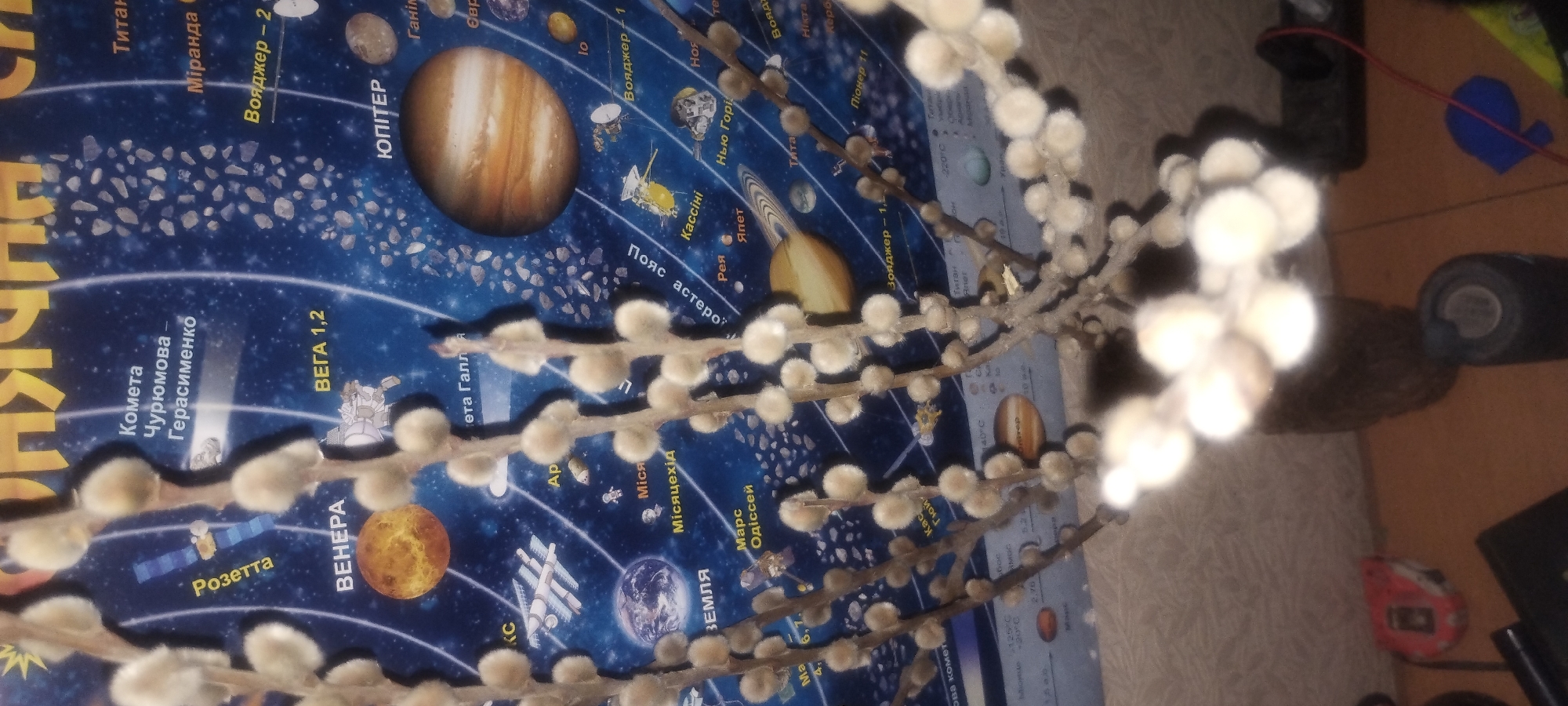 The image shows a close-up of a bouquet of pussy willow branches in a vase. Behind the branches is a colorful educational poster of the solar system. The poster features various planets, moons, comets, and spacecraft with labels in Ukrainian. The foreground shows a wooden table surface with some objects, including a red measuring tape and a black cylindrical object. The background is blurred, suggesting an indoor setting, likely a room in Zaporizhzhia, Ukraine, given the presence of Ukrainian text on the poster. There are no people visible in the image.
