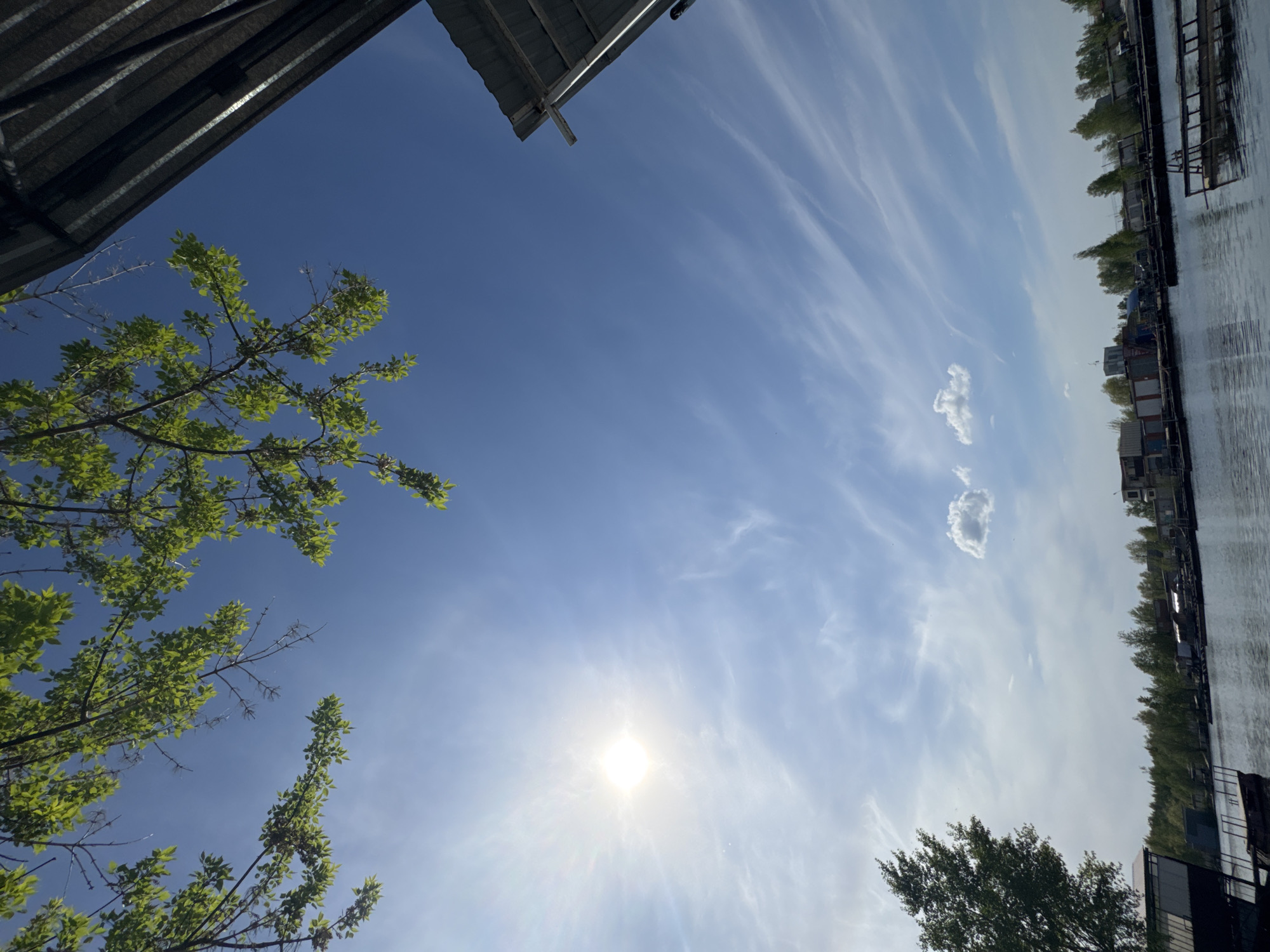 The image shows a low-angle view of the sky with a partial view of objects. The sky is predominantly blue with streaks of white clouds. The sun is visible as a bright spot. On the left side of the image, there are green tree branches. At the top-left corner, there is part of a gray metallic structure, likely a roof. The top-right of the image shows what appears to be a river or lake shoreline with trees and buildings, possibly floating houses or docks. The location may be in Chaikovsky, Russia, based on the prompt. No people are visible in the image.