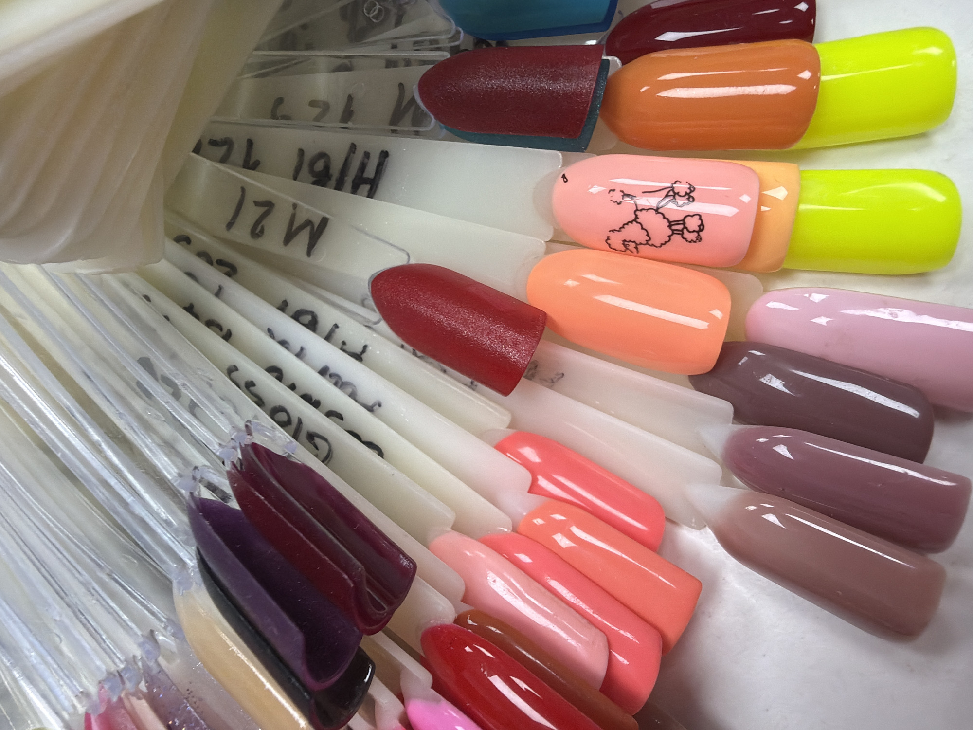 A collection of artificial nail tips, painted in a variety of colors and finishes, are fanned out on a white surface. The nail tips are mounted on white plastic sticks, and some of the sticks are labeled with handwritten black marker text, such as "M21", "H/61", and "7C". Colors range from deep burgundy and plum to bright reds, oranges, pinks, and neon yellow. One of the pink nail tips features a black line drawing of a poodle. The overall arrangement suggests a display of nail polish or gel colors, likely in a salon or retail setting. The image does not provide any information about the city of Budva, Montenegro.