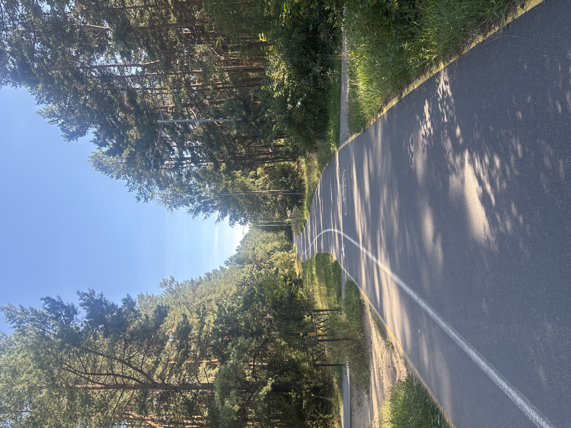 The image shows a paved path for cycling and walking in a park-like setting in Salihorsk, Belarus. The path is bordered by tall pine trees and lush green grass. The path has a white dividing line and yellow lines on the edges. There are shadows of leaves from the trees on the path, indicating a sunny day. There are no people visible in the image. In the background, there are streetlights and more trees. The path curves to the right in the distance. The overall scene depicts a serene and natural environment within the city, suitable for recreational activities.
