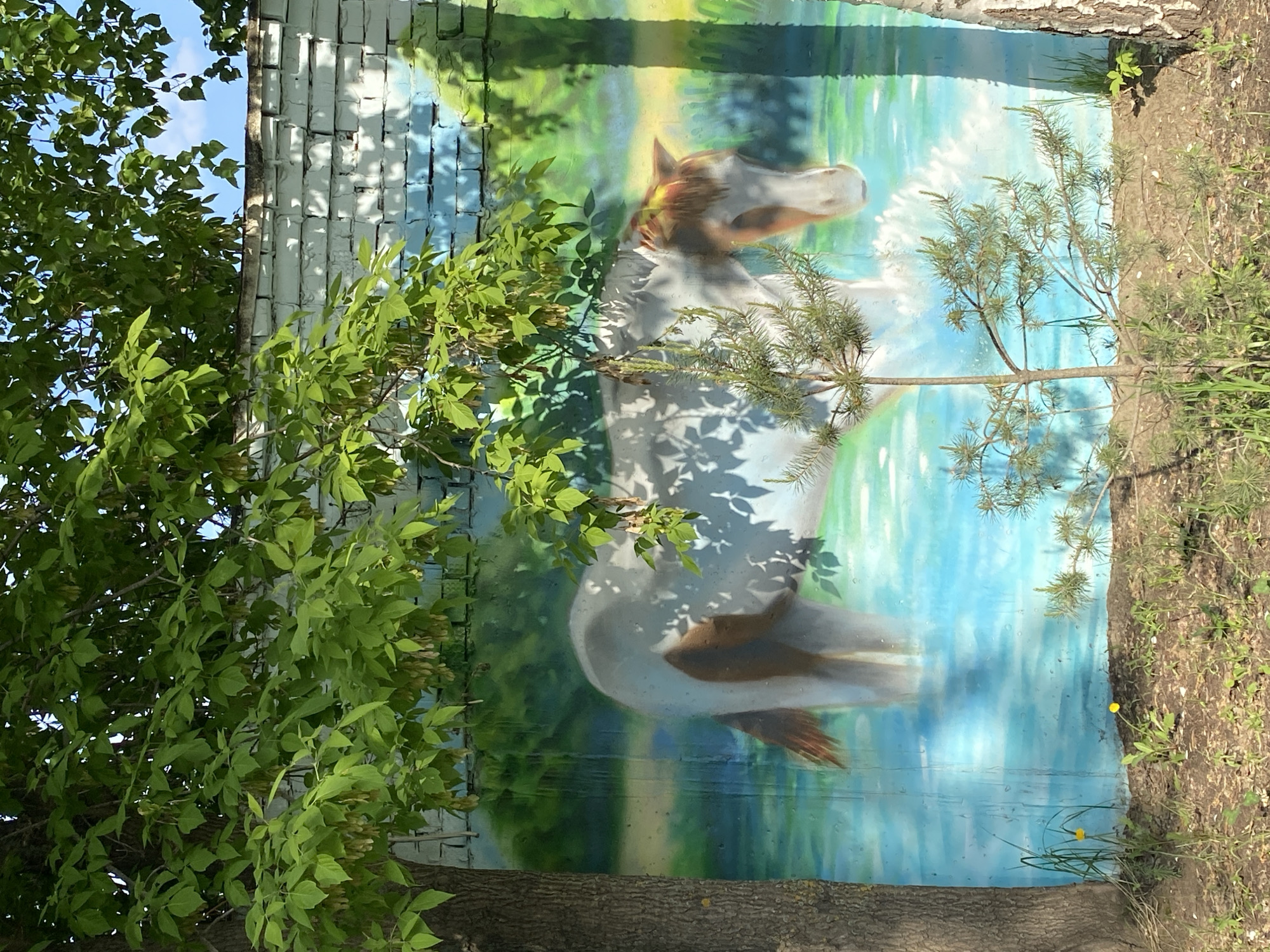 A mural of a white horse on a light-colored brick wall, likely in Chaikovsky, Russia, is partially obscured by tree foliage. The horse is depicted in a stylized manner, surrounded by blue and green hues suggestive of water and vegetation. A tree trunk and other vegetation are visible on the sides of the mural.