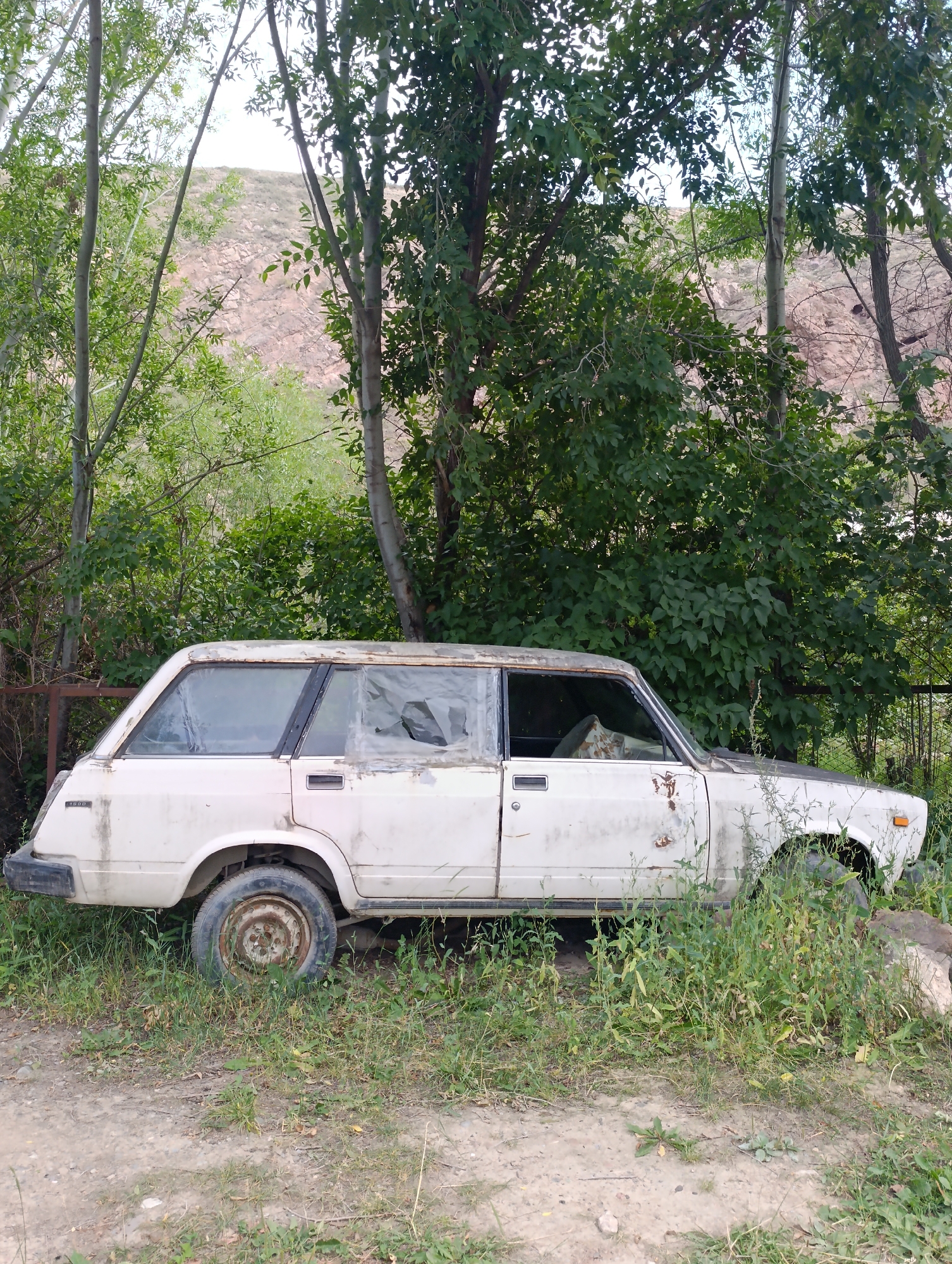 An abandoned white wagon-style car with significant rust and damage sits on a grassy embankment next to a dirt path. The windows are broken and covered with plastic sheeting. The car is surrounded by overgrown vegetation and trees, with a rocky hillside visible in the background. The scene appears to be located in a rural or undeveloped area within Naryn City, Kyrgyzstan. There are no people visible in the image.