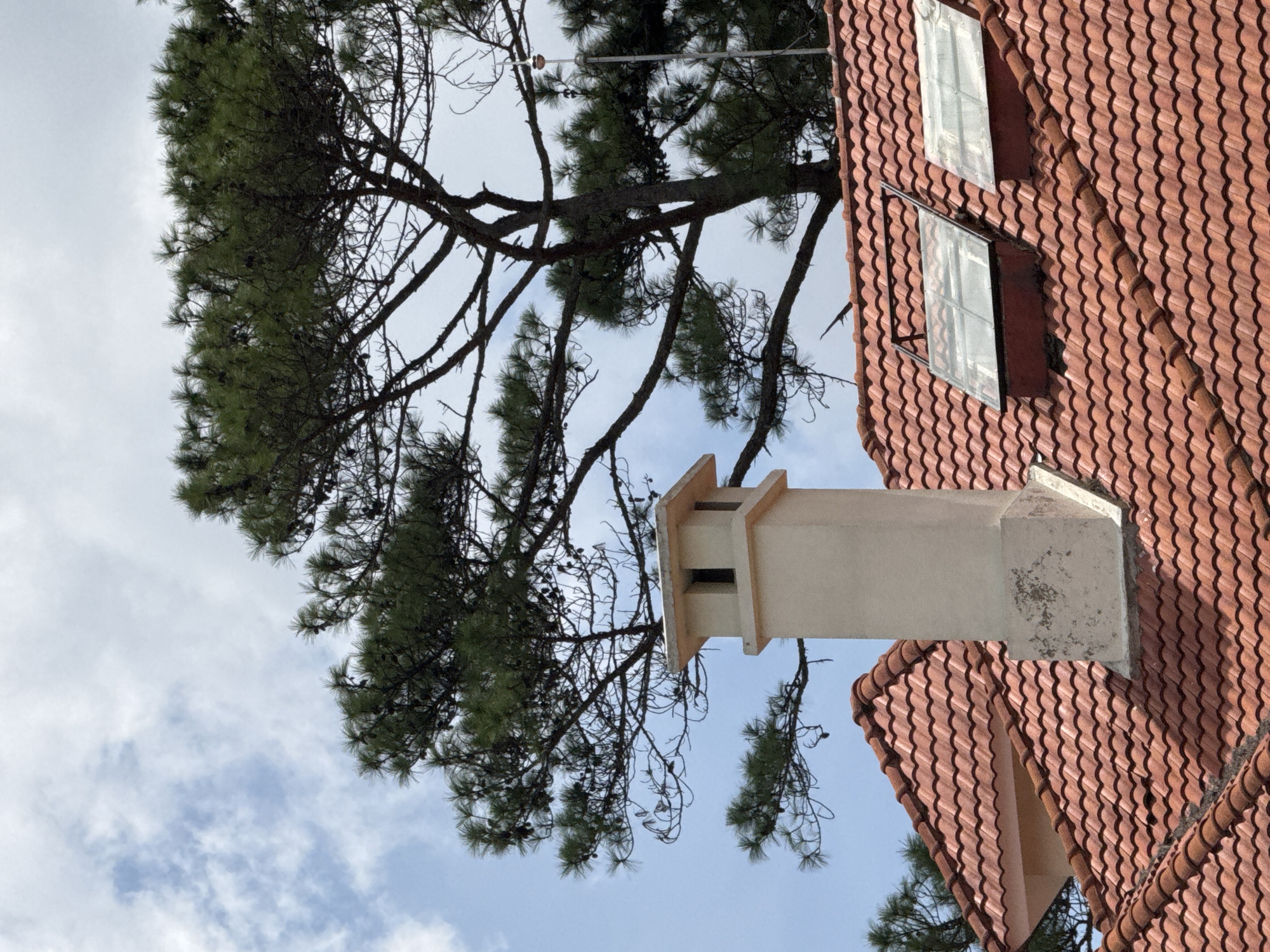 The image shows a close-up view of a tiled roof in Da Lat, Vietnam. A cream-colored chimney with square openings stands prominently on the roof, to the left of two skylights. The roof is covered with reddish-orange clay tiles. A pine tree with dark green needles and visible cones is positioned behind the chimney, with its branches extending across the frame. The sky above is a mixture of blue and white clouds. The scene appears to be a residential area.