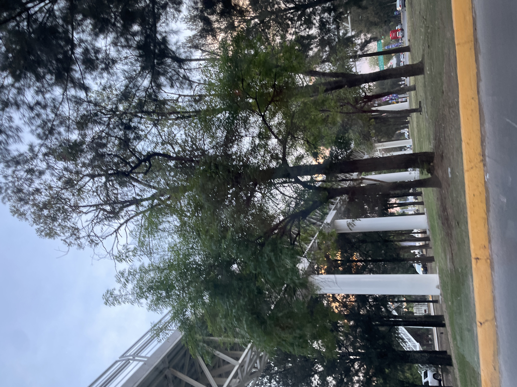The image shows a street scene in Puebla, Mexico. A row of trees lines the sidewalk along a road with a yellow curb. White columns are visible behind the trees. A pedestrian bridge structure is visible on the left side of the image. Cars and traffic signals are visible further down the road. The sky is overcast.