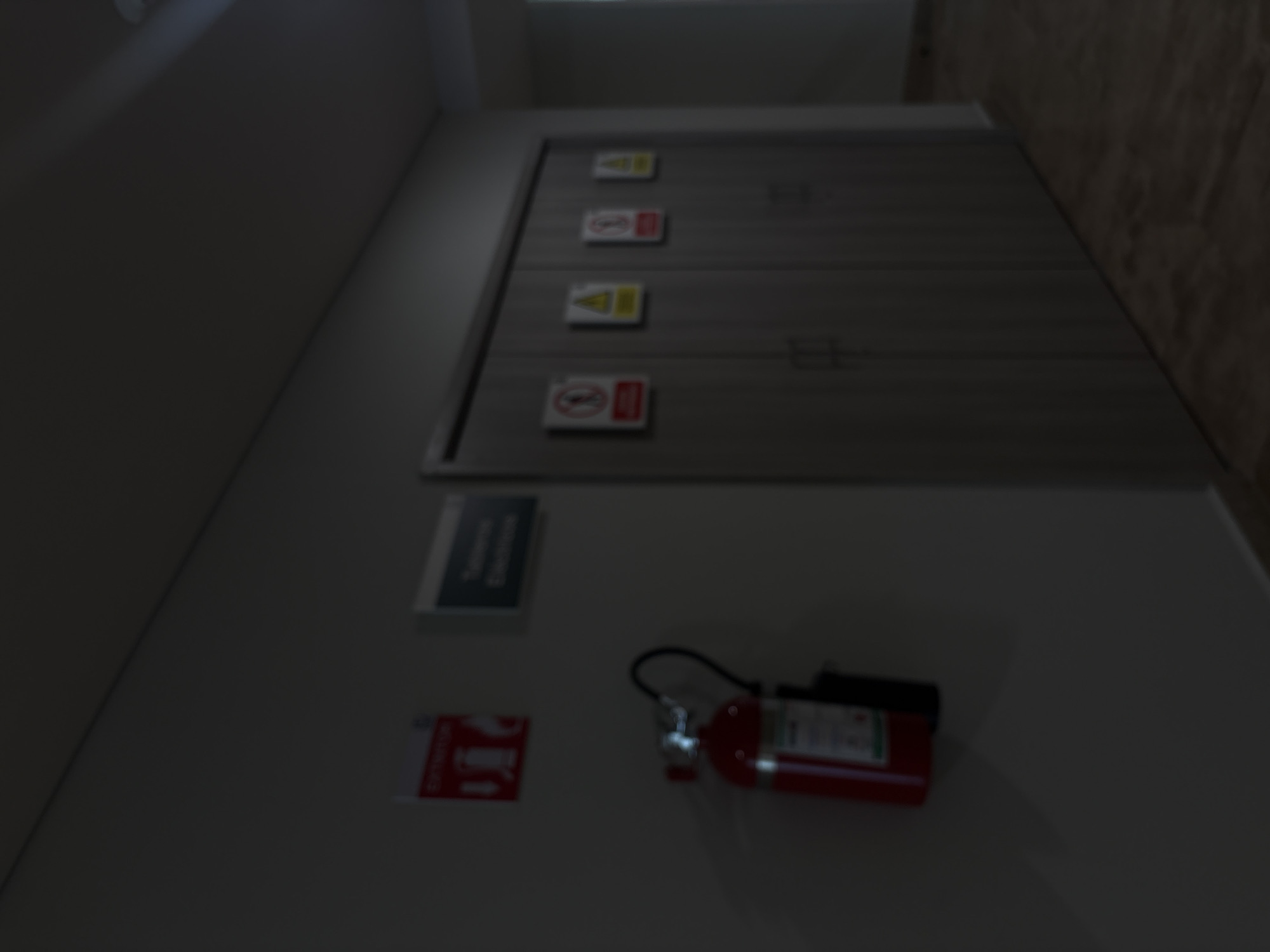 A slightly blurred, low-angle indoor shot of a white wall with a closed light gray door. In the upper middle of the shot, the door has four signs: the top one in yellow says "caution," the second is a red symbol, the third is yellow with a lightning bolt, and the fourth is a red symbol. Below the door, on the wall, is a sign that says "Electrical Room." To the right, below the sign, is a fire extinguisher mounted to the wall. The door is in a building in Puebla, Mexico.