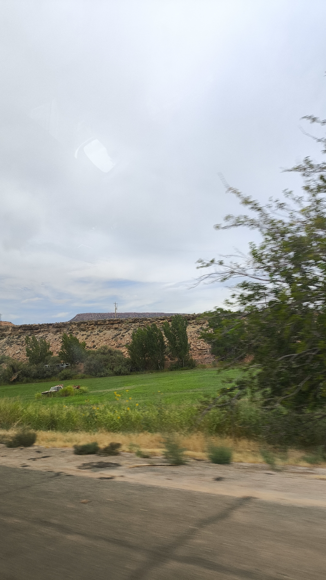 In the city of Virgin, United States of America, a rural landscape is captured under an overcast sky. The foreground is dominated by a blurred asphalt road, suggesting motion. Beyond the road, a strip of dry, dusty ground is visible, dotted with sparse, low-lying vegetation. A vibrant green field stretches across the mid-ground, interspersed with patches of yellow wildflowers and a small section of dark green foliage. In the distance, several trees stand tall against a backdrop of a rocky, terra-cotta colored cliff face. At the base of the cliff, partially obscured by vegetation, are several buildings or structures, possibly trailers or recreational vehicles. A lone, weathered, light-colored vehicle, possibly a truck, is parked in the field. Above the cliff, a distant, purple-hued mountain range forms the horizon, with utility poles and wires visible against the sky. The overall impression is one of a natural, undeveloped area on the outskirts of a settlement.