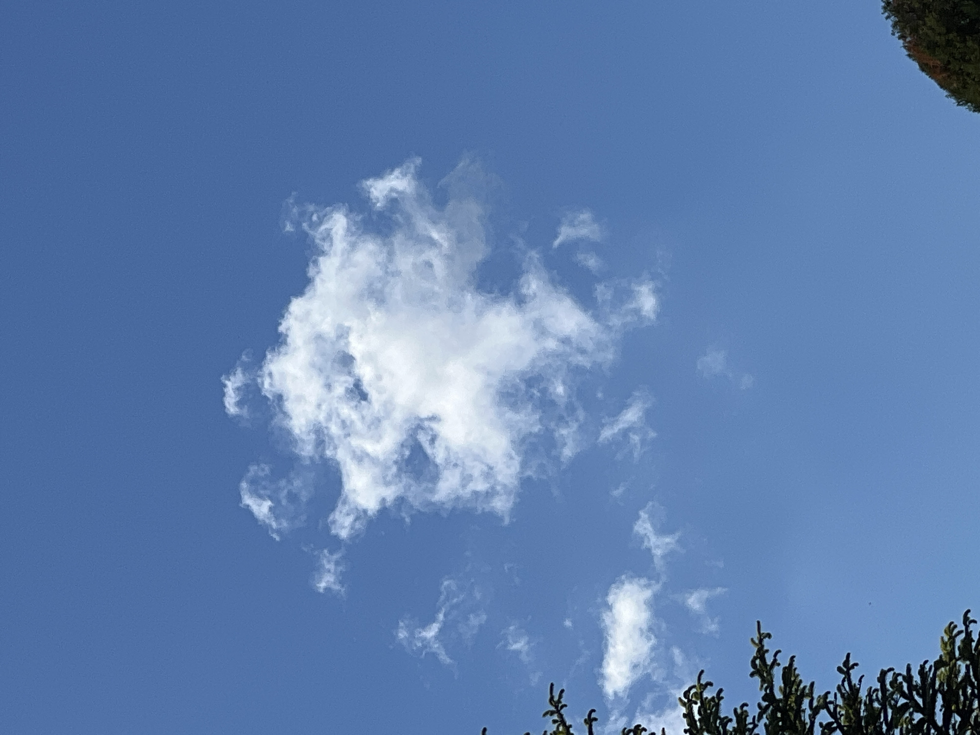 A daytime photograph captures a large, distinct white cloud against a clear, bright blue sky. The cloud, centrally positioned, exhibits an irregular, somewhat amorphous shape with lighter, more diffuse edges, suggesting a cumulus or stratocumulus formation. Below and to the right of this primary cloud, several smaller, wispy white cloud fragments are scattered across the blue expanse.
The sky is a vibrant, uniform blue, indicating fair weather and good visibility. In the bottom right corner of the image, the dark green foliage of a tree or bush extends partially into the frame, providing a natural foreground element. A smaller, denser patch of similar green foliage is also visible in the top right corner. The overall lighting suggests a sunny day, likely during the mid-morning or afternoon. There are no people, explicit activities, or visible text within the frame. The scene depicts a serene natural landscape, consistent with an outdoor setting in Krasnodar, Russia.