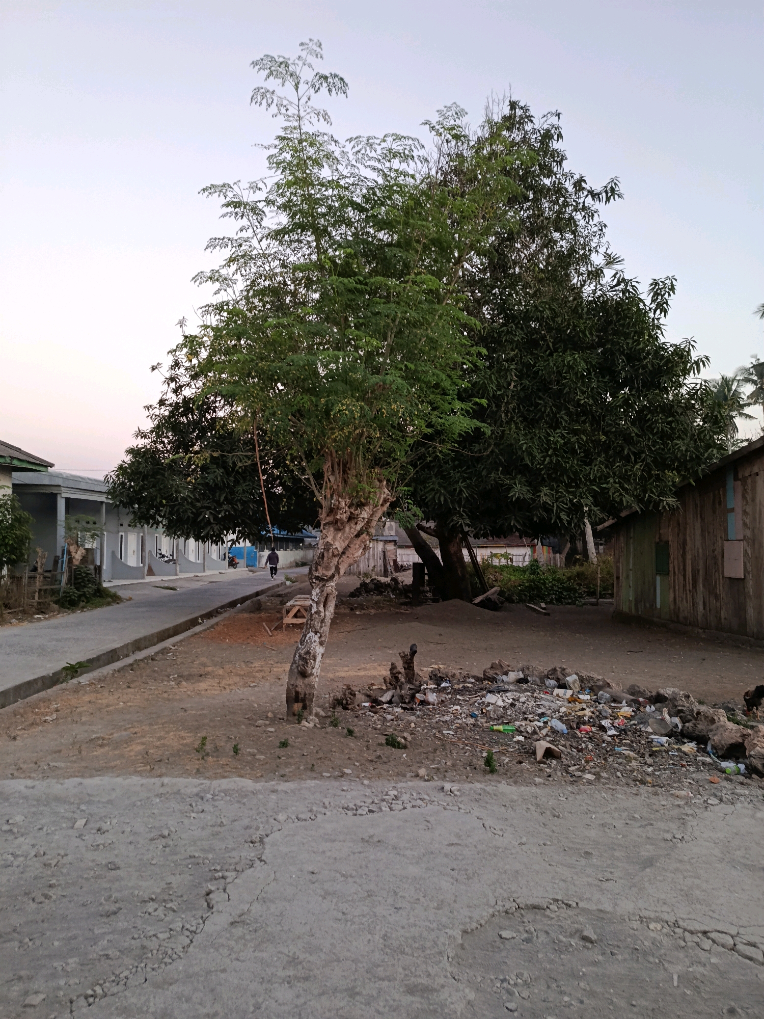 This is an outdoor, eye-level, medium shot, taken in Bulukumba, Indonesia. In the foreground, there is a paved surface with cracks. Behind this, there is a pile of garbage and rocks. A tree with a rough, light-colored trunk stands to the right of center. Beyond the tree, a person is walking away from the camera on a paved road. To the left of the road, there are several identical, light-colored buildings with gray roofs. In the background, to the right of the trees, there is a wooden building with a green door and window. The sky is a pale, clear blue.