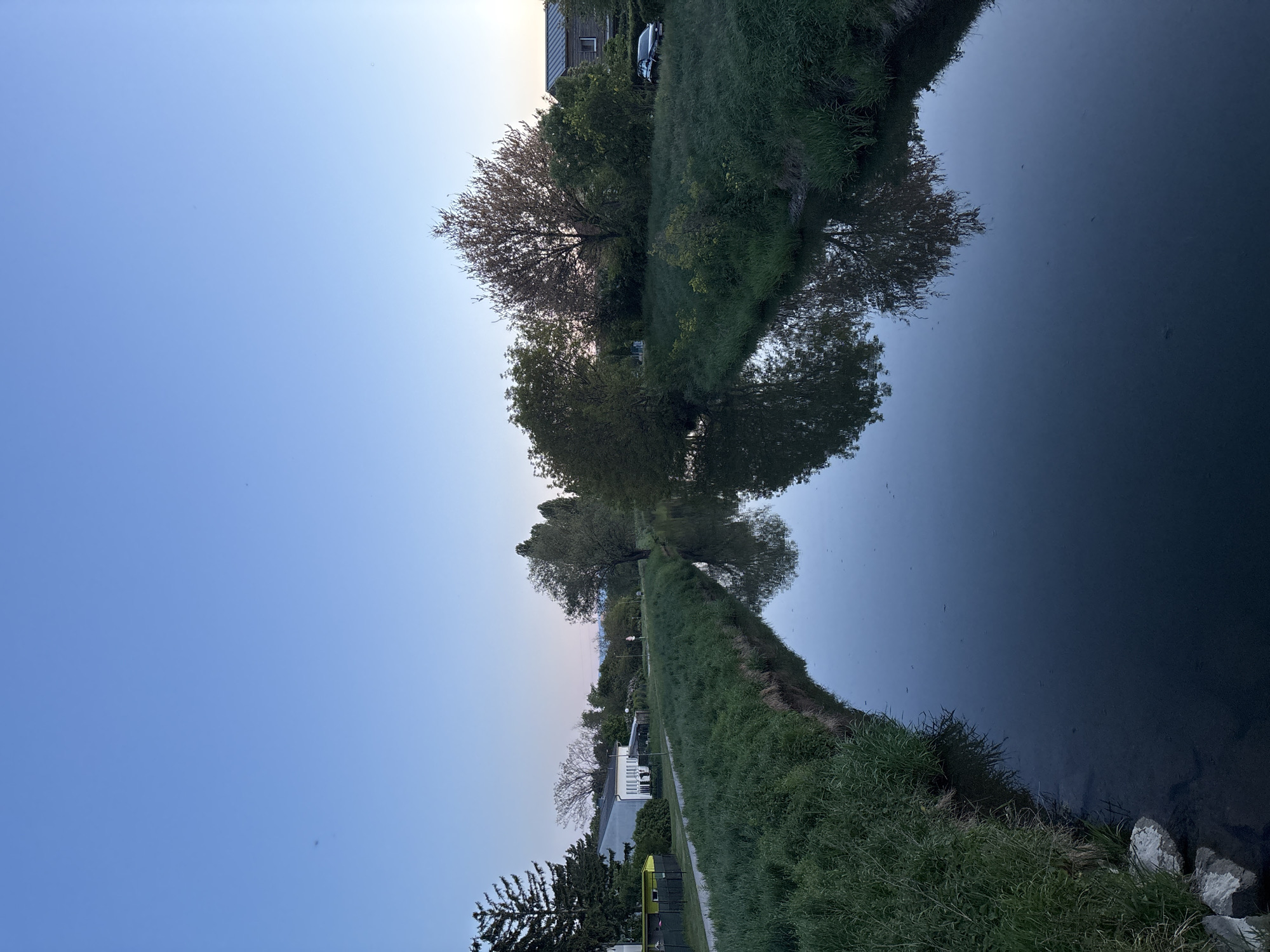The image depicts a canal in Wiener Neustadt, Austria at dusk. The sky transitions from light blue to a faint orange near the horizon. Lush green grass lines the banks of the canal. Trees with full foliage grow along the edge, their reflections mirrored in the still water. On the left bank, a walking path is visible, and in the distance, buildings can be seen. A parked car is present in the upper part of the image.