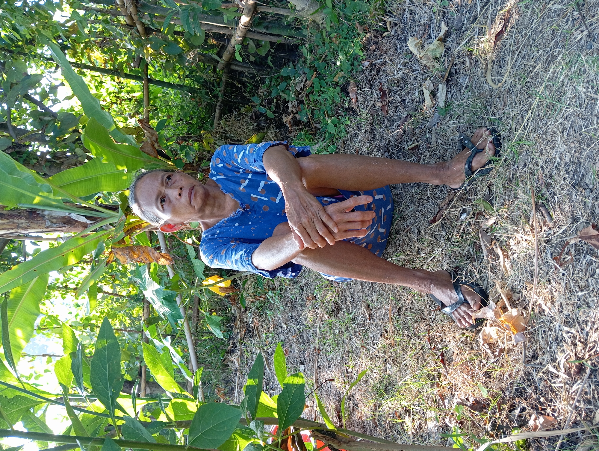 An elderly individual, likely a woman, is depicted sitting on the ground outdoors in Waung, Indonesia. She is wearing a short-sleeved blue dress or tunic adorned with a white, abstract dot pattern. Her knees are bent with her arms resting folded on her legs, and she looks directly at the camera with a neutral expression. She has gray hair pulled back and is wearing dark-colored sandals.
The setting is a natural, possibly rural, area. The ground beneath her is covered with dry, light brown grass and scattered dry leaves, interspersed with patches of green vegetation. Behind and to her left, the scene is dominated by lush green foliage, including large leaves resembling those of a banana plant, suggesting a tropical environment. Bright sunlight illuminates the scene from the upper left, casting subtle shadows and highlighting the vibrant green of the leaves, indicating it is daytime. There is no visible text in the image.