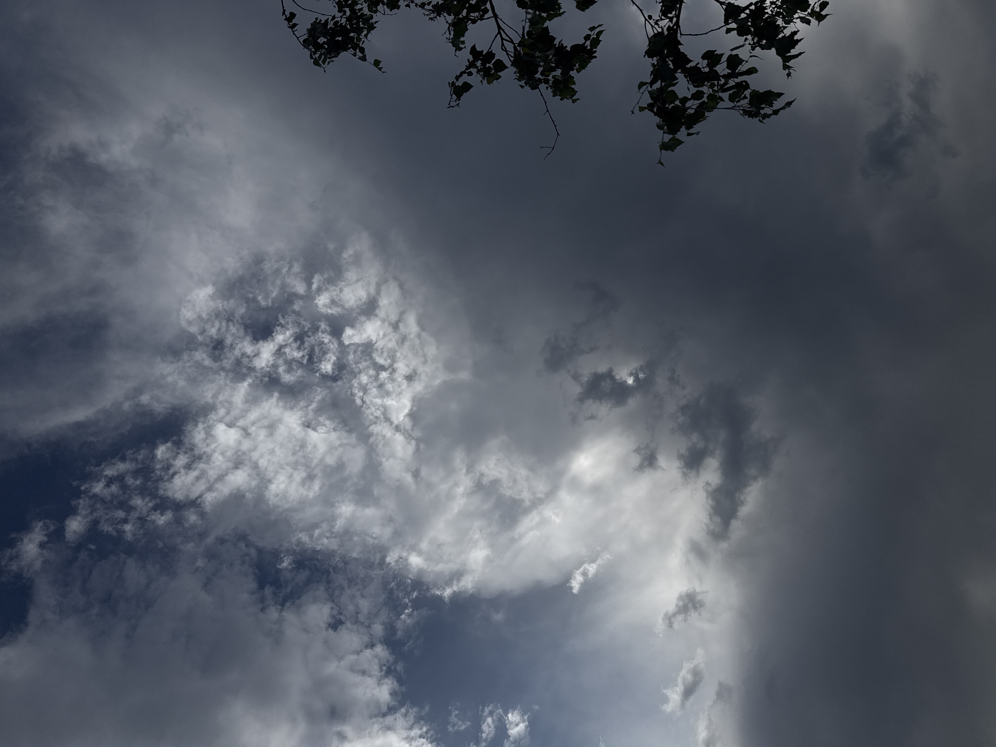 This media file shows a low-angle view of a cloudy sky with tree branches in the upper portion. The sky is filled with a mix of dark, heavy storm clouds and lighter, more wispy clouds. Sunlight is breaking through in some areas, creating bright highlights on the clouds. The overall impression is of an impending storm or the aftermath of one. The tree branches are silhouetted against the sky, suggesting they are located in the foreground, looking upwards. The setting appears to be outdoors, likely in a natural environment given the presence of trees. The time of day is not explicitly indicated, but the dramatic lighting could suggest either early morning or late afternoon. No people, objects, or text are visible in the image. The mood conveyed is somewhat dramatic and potentially foreboding due to the stormy sky. The location is identified as Sulitsa, Bulgaria.