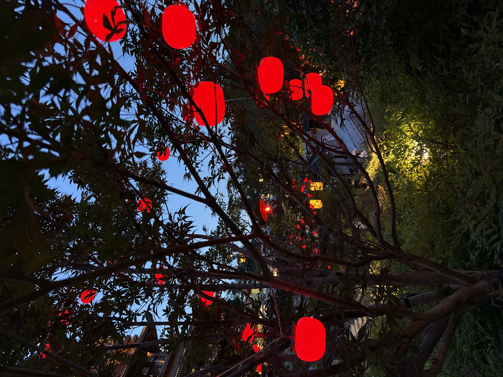 The image shows a tree with red lanterns hanging from its branches at dusk. The tree is in the foreground, with its branches and leaves silhouetted against the sky. The red lanterns are illuminated, casting a warm glow on the surrounding area. In the background, there is a building with traditional Chinese architecture and some greenery. The scene appears to be a park or a garden in Yiwu, China, possibly a tourist attraction or a cultural event space. The lighting suggests it is either early evening or late afternoon, with the sky being a clear blue.