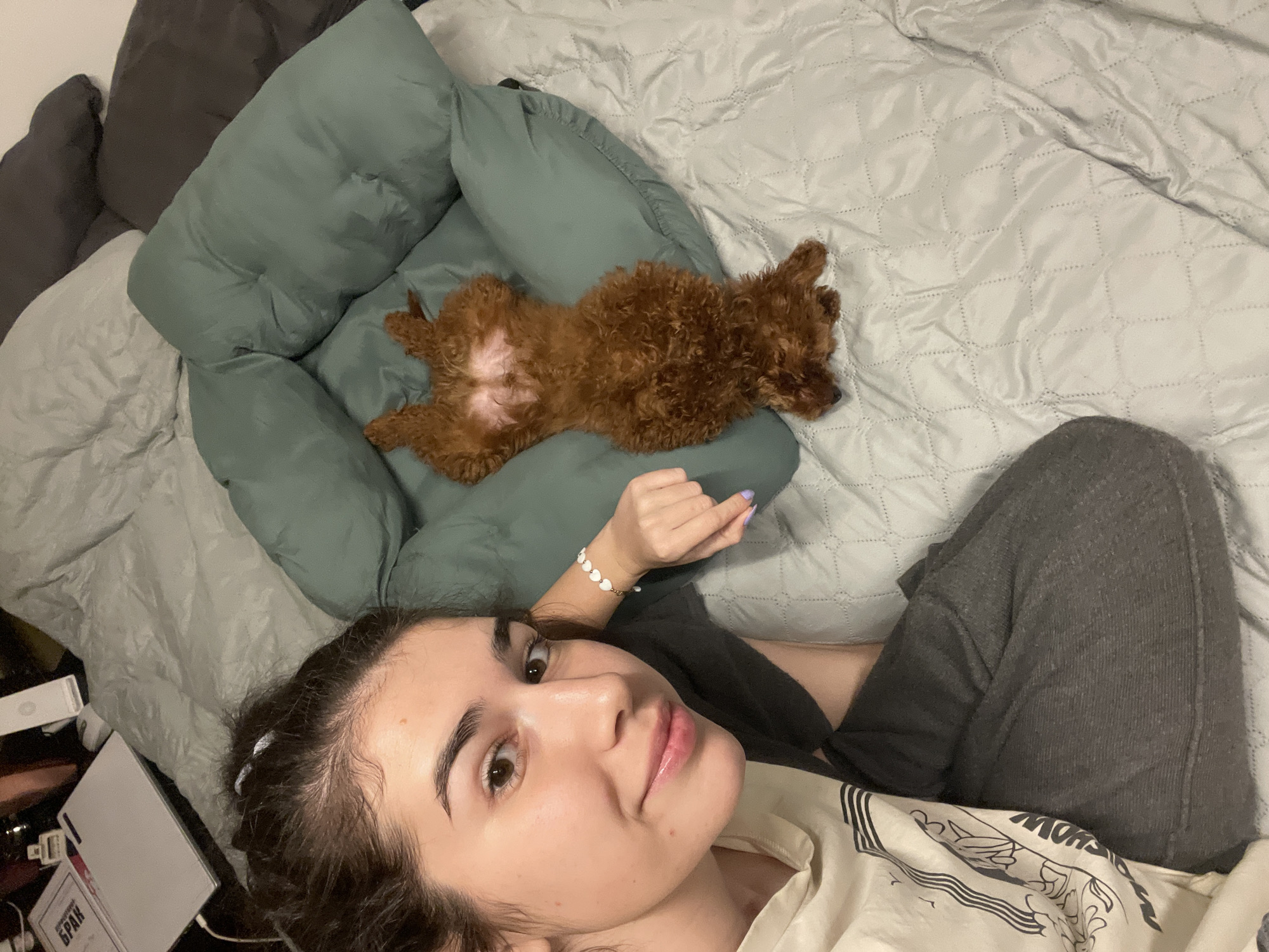 A woman lies on a bed, next to a brown poodle that is resting on a green cushion. The woman is fair-skinned with dark hair and is wearing a light-colored t-shirt and gray sweatpants. A white bracelet is visible on her wrist. The bed has a gray quilted blanket. A laptop and other items are visible in the lower-left corner of the frame. The location is likely indoors but the city of Sofia, Bulgaria, cannot be confirmed based on this image alone.