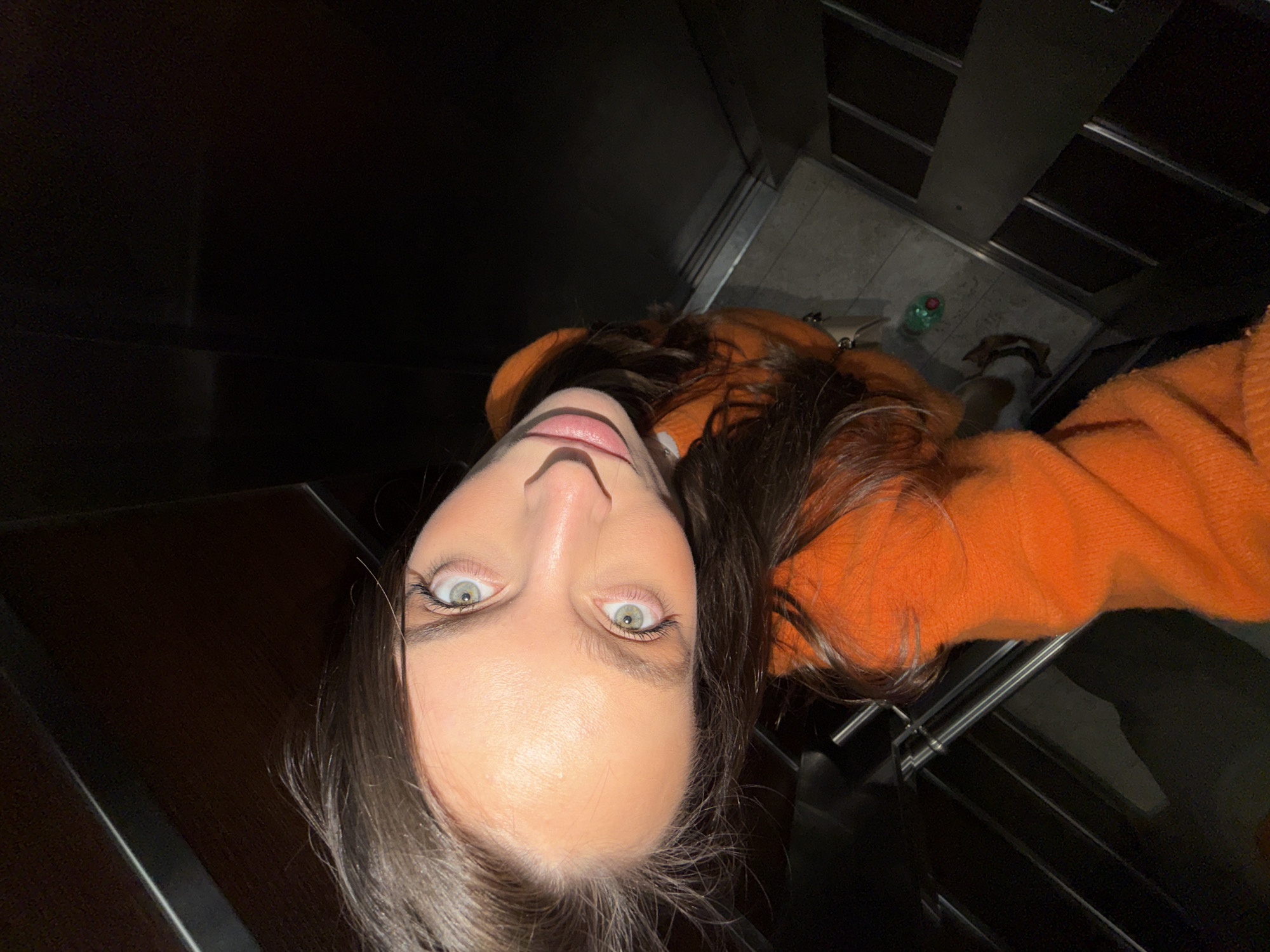 A woman with light green eyes and dark brown hair, wearing an orange sweater, is taking a selfie in what appears to be an elevator. The elevator has dark walls and a tiled floor. A dog is also visible in the lower center of the image. The location, Budva, Montenegro, cannot be verified from the image.