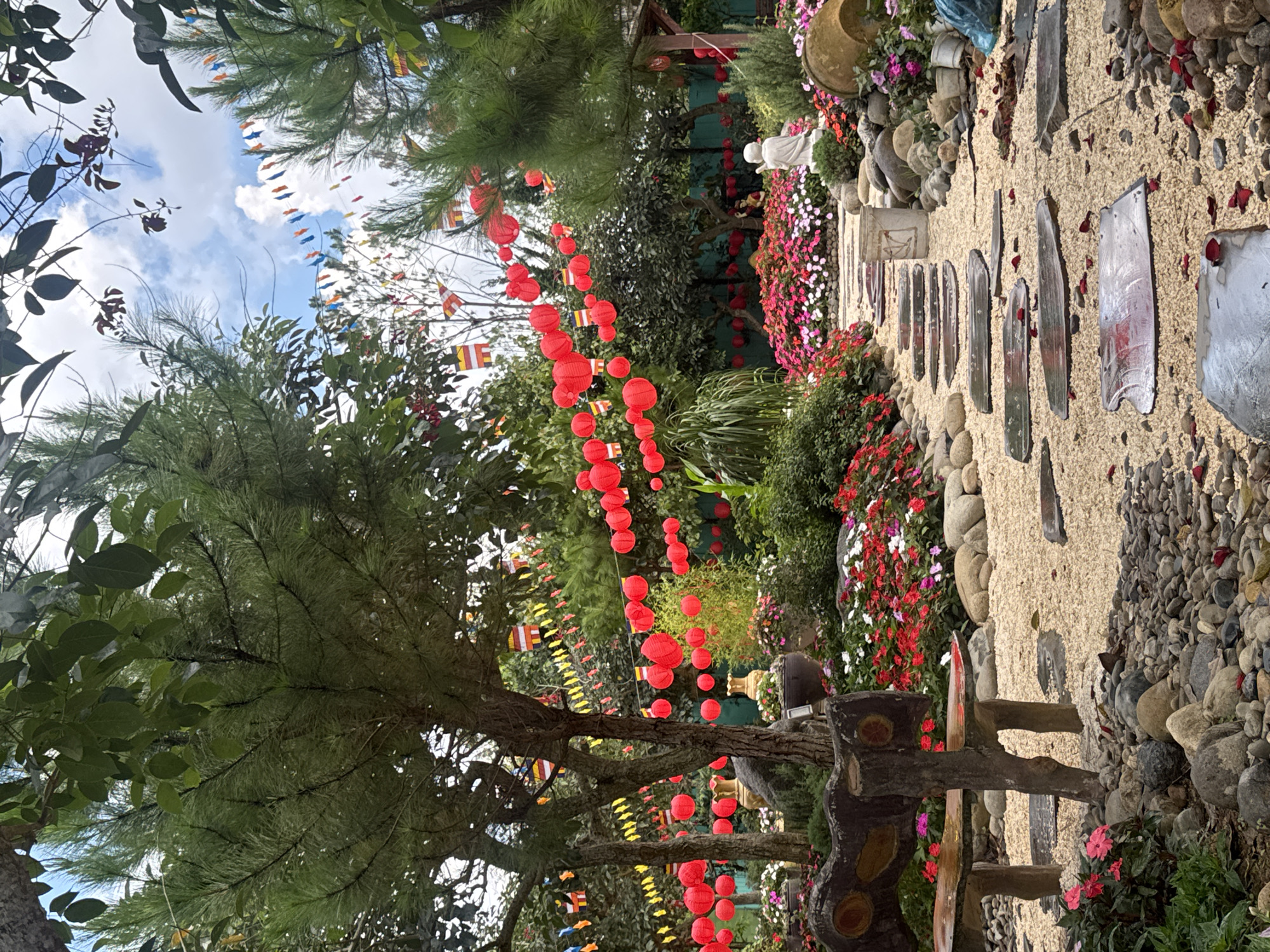 This image depicts a tranquil garden scene in Da Lat, Vietnam, likely a temple or a similar spiritual site. The foreground features a pathway paved with flat, irregular stones interspersed with light-colored gravel. Scattered rose petals are visible on the path and surrounding rocks. To the left, a unique, carved wooden bench with a red seat and circular motifs is situated amidst decorative rocks and small pink and red flowers.
The midground is dominated by vibrant flowerbeds filled with red and pink blooms, creating a colorful border along the pathway. Large, decorative ceramic pots and stone Buddha statues are strategically placed within the garden. Hanging from trees and overhead wires are numerous red paper lanterns and small, colorful prayer flags, suggesting a festive or celebratory occasion.
In the background, lush green trees and foliage create a dense canopy. The sky above is partly cloudy with patches of blue. The overall impression is one of serenity and natural beauty, enhanced by the cultural elements of the lanterns and flags.