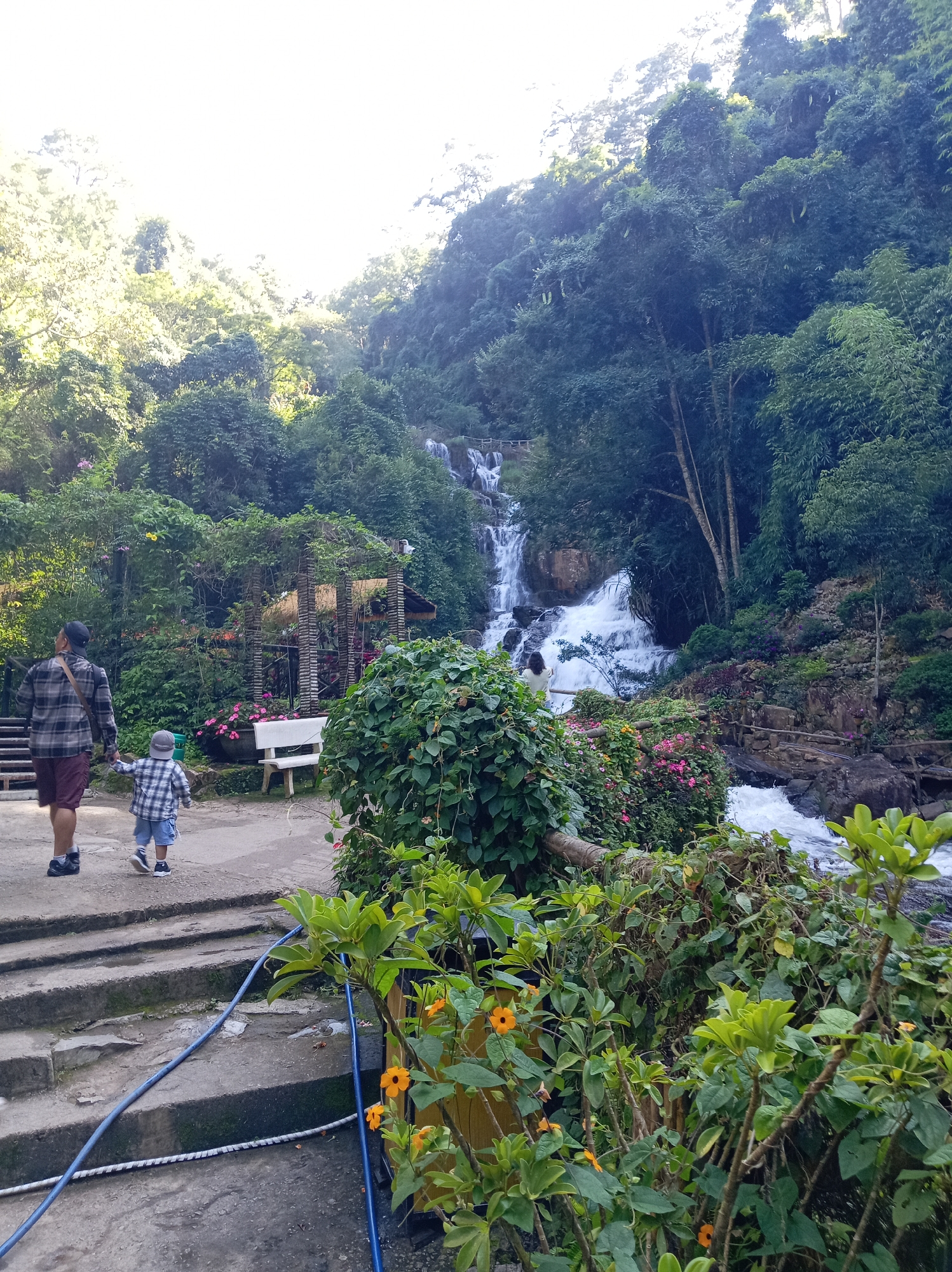 The image depicts a picturesque scene at a waterfall, likely within or near the city of Da Lat, Vietnam, known for its natural beauty and numerous waterfalls. The foreground features a concrete pathway with steps leading down, adorned with lush green foliage and vibrant orange flowers. A blue hose snakes along the path. A man wearing a plaid shirt and shorts, with a bag slung over his shoulder, is walking down the steps, holding the hand of a young child dressed in a plaid shirt and shorts, also wearing a cap.
In the mid-ground, a white bench sits near a rustic wooden structure, possibly a shelter or decorative element, surrounded by flowering plants. The main focal point is a multi-tiered waterfall cascading down a rocky slope, its white water creating a dynamic contrast against the verdant greenery of the surrounding forest. The background is dominated by dense vegetation, with trees climbing the hillside, suggesting a natural, untamed environment. The sunlight filtering through the trees indicates it is daytime, possibly morning or late afternoon, casting a warm glow on the scene.