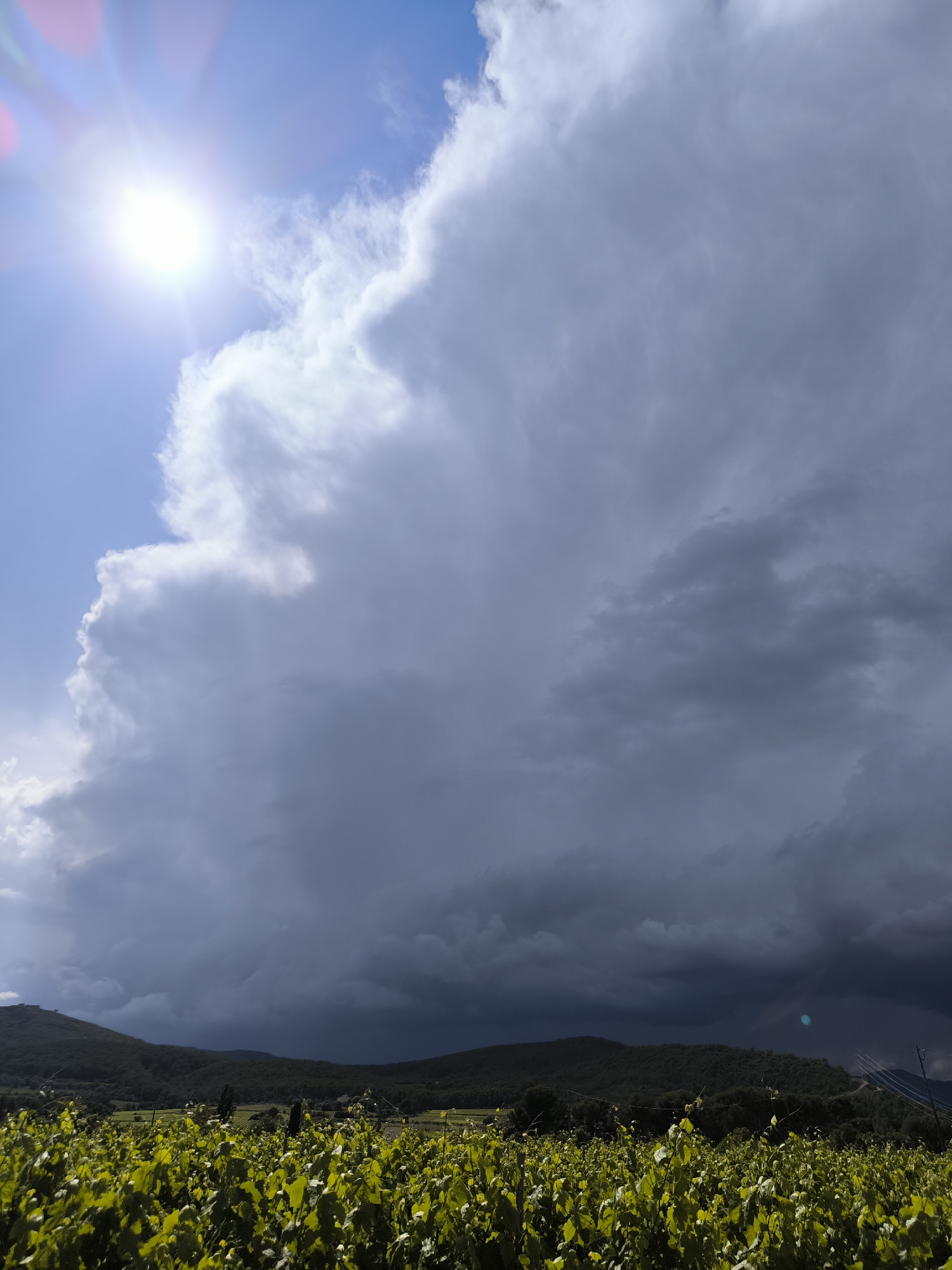The image shows a vineyard in Sant Martí Sarroca, Spain, under a dramatic sky. In the foreground, rows of green grapevines fill the frame. Behind the vineyard, a low, forested mountain range forms the horizon. The sky is dominated by a massive cumulonimbus cloud formation, ranging from bright white near the sun to a dark, ominous gray overhead. The sun, positioned in the upper left of the frame, shines brightly, with visible lens flare. The scene suggests an approaching storm. There are power lines on the right. No people are visible.