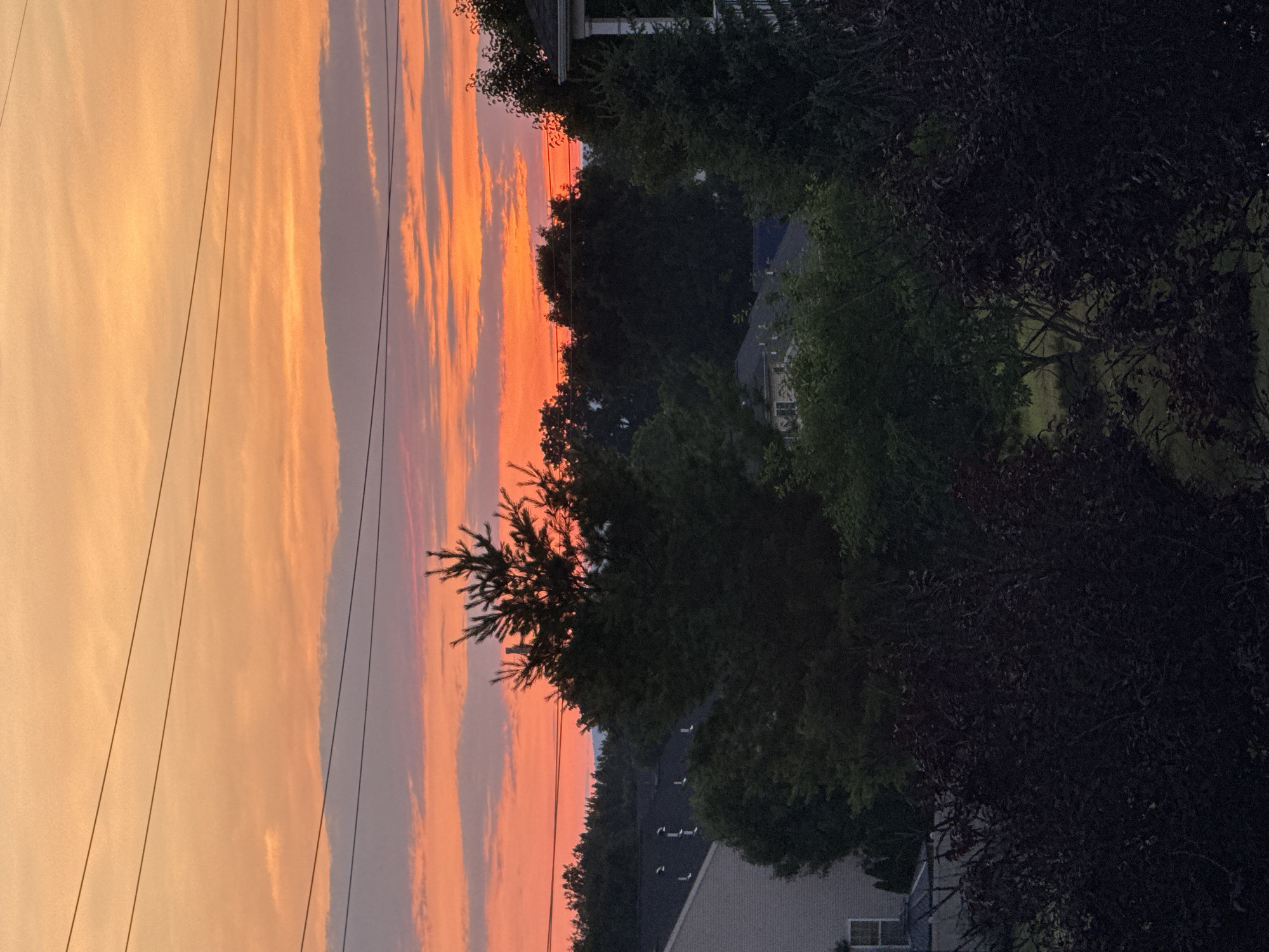 A nighttime photograph captures a suburban landscape with a vibrant sunset. The sky transitions from deep orange and pink hues at the horizon to a lighter yellow and peach at the top, with wispy clouds spread across it. Three thin black wires, likely power lines, stretch horizontally across the upper portion of the frame. In the mid-ground, silhouetted trees with dark green foliage stand out against the colorful sky. Some of these trees appear to be pine trees, identifiable by their spiky needles. Below the trees, rooftops of houses are visible, some with visible attic vents. A dark, leafy bush dominates the foreground, obscuring the lower part of the scene. The photograph is taken from an elevated viewpoint, looking down onto the neighborhood.