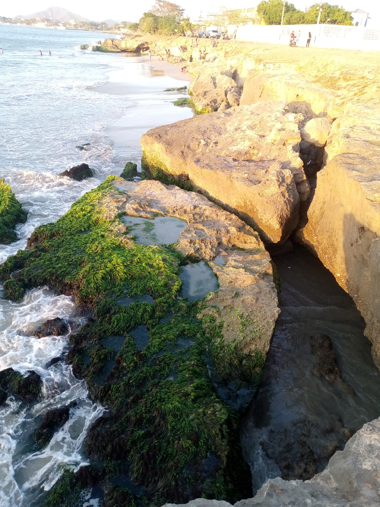 The image captures a coastal scene in Juan Griego, Venezuela. In the foreground, rocky terrain extends towards the sea, with patches of vibrant green algae clinging to the rocks. Water rushes around the rocks, creating white foam. Further back, there's a sandy beach where people are gathered. The background features a silhouette of a mountain. Along the top of the rocks in the mid-ground, people are also visible. There's a sharp shadow along the side of the rocks on the right.