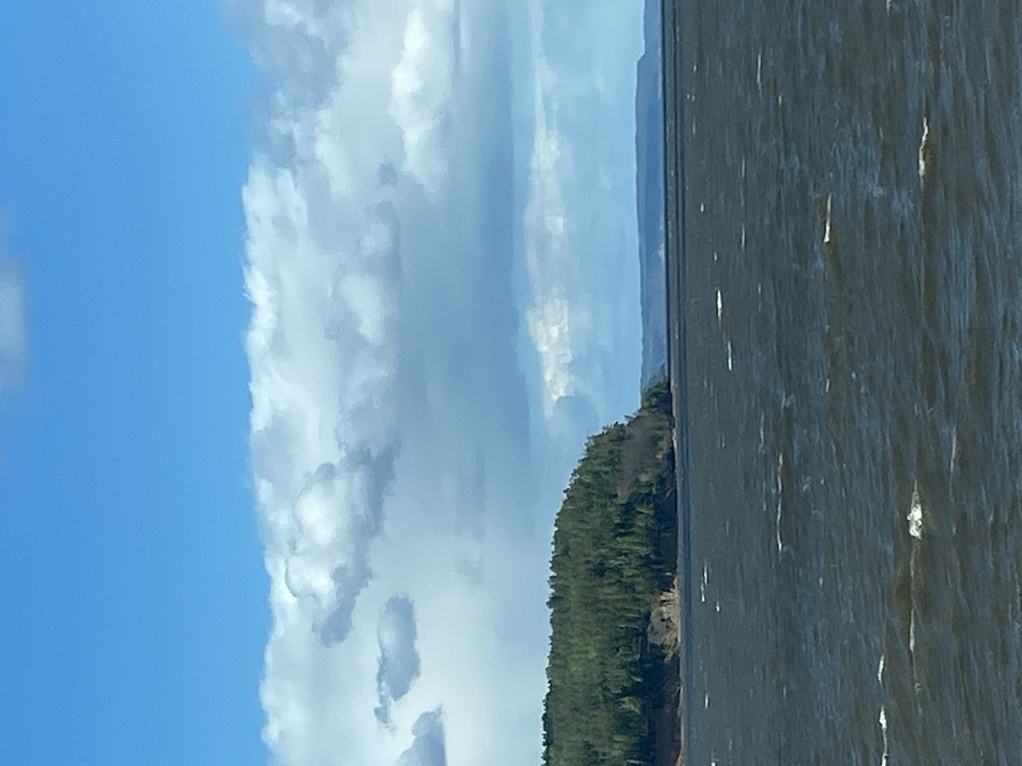The image shows a body of water, likely a reservoir or large river, bordered by a tree-covered shoreline. The sky is partially cloudy, with blue patches visible. The water surface is slightly choppy, reflecting light. The photo is taken from a position at water level, or from a boat on the water. It is unknown if the location is in the city of Chaikovsky, Russia without further information. The image contains no visible people, actions, or interactions.