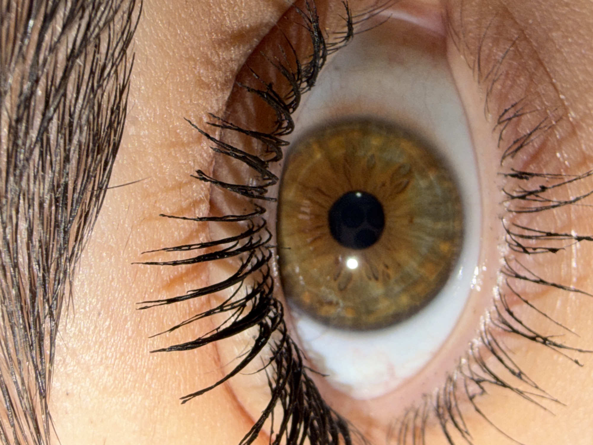 A close-up photograph shows a human eye with hazel-colored iris. The pupil is black, and there is a reflection of light within it. The eyelashes on the upper and lower eyelids are coated with mascara. The skin surrounding the eye appears fair-toned. There is no indication of location.