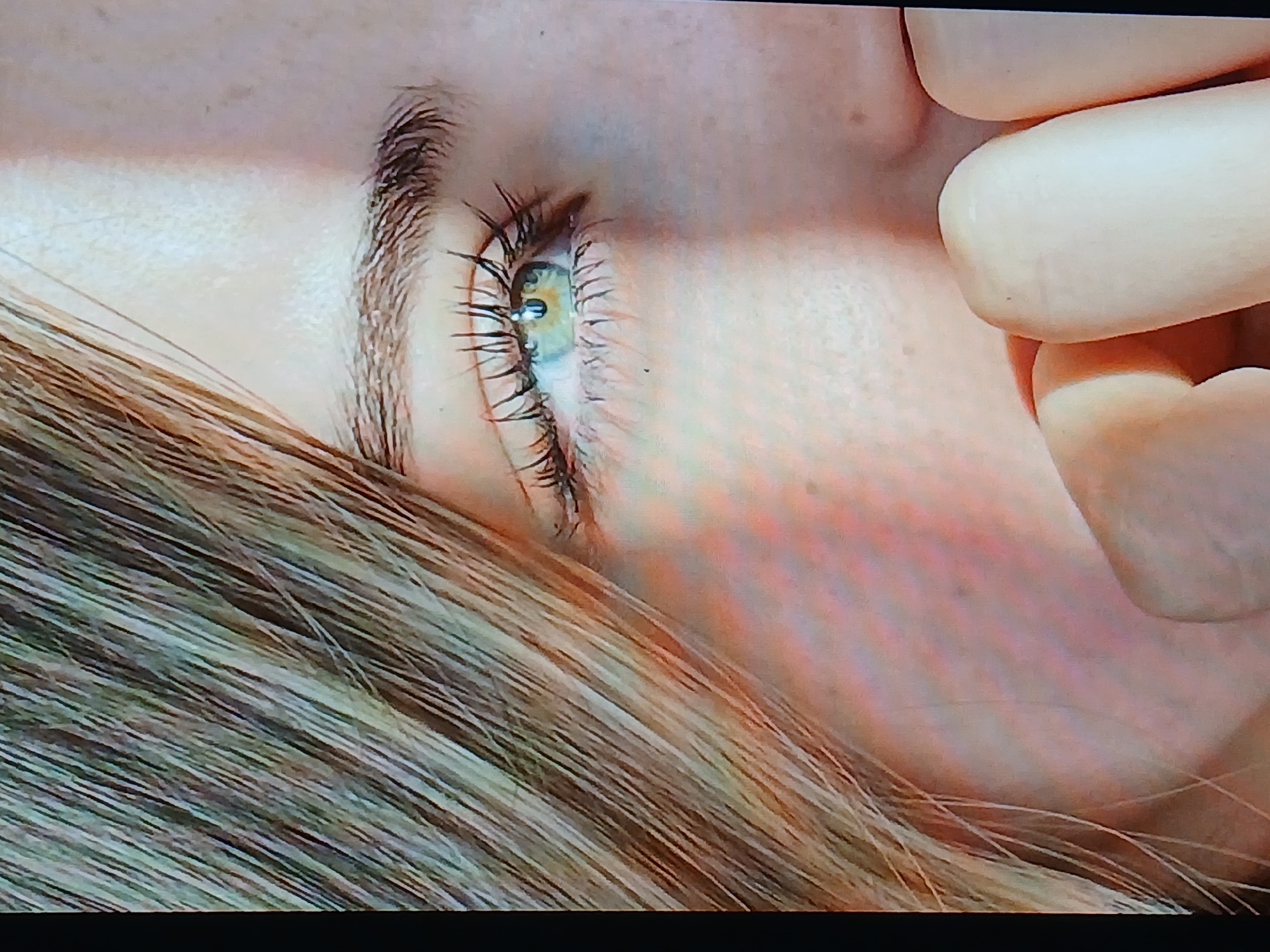 This is a close-up, high-angle, medium-shot photograph of a young woman's face, cropped to focus on her right eye and hand, with strands of her blonde hair framing the left side of the image. The woman's eye is green with long, dark eyelashes. Her eyebrow is well-defined and dark. Her skin appears fair with some freckles. Her fingers are visible in the lower right quadrant of the image, held up near her mouth, with the knuckles and fingertips illuminated by a soft light that casts a shadow on her face. The background is out of focus, showing hints of soft lighting and texture. The image appears to be taken indoors or in a controlled environment, possibly a studio setting, given the lighting and shallow depth of field. There is no indication of a specific location within the city of Dnipro, Ukraine.