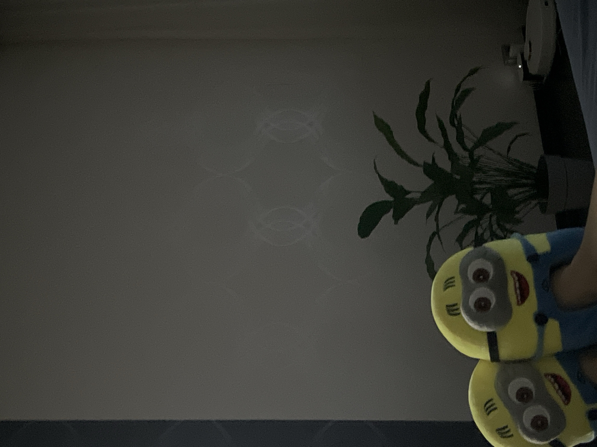 Two Minion-themed slippers are visible in the foreground, with the feet wearing them angled towards the left of the frame. Behind the slippers, a potted plant with large green leaves stands on a dark surface. To the right of the plant, a white robotic vacuum cleaner is partially visible, with a small light illuminated on its surface. The background consists of a gray wall with a subtle textured pattern. The lighting in the scene is dim, casting shadows. The location is Unknown, Unknown.