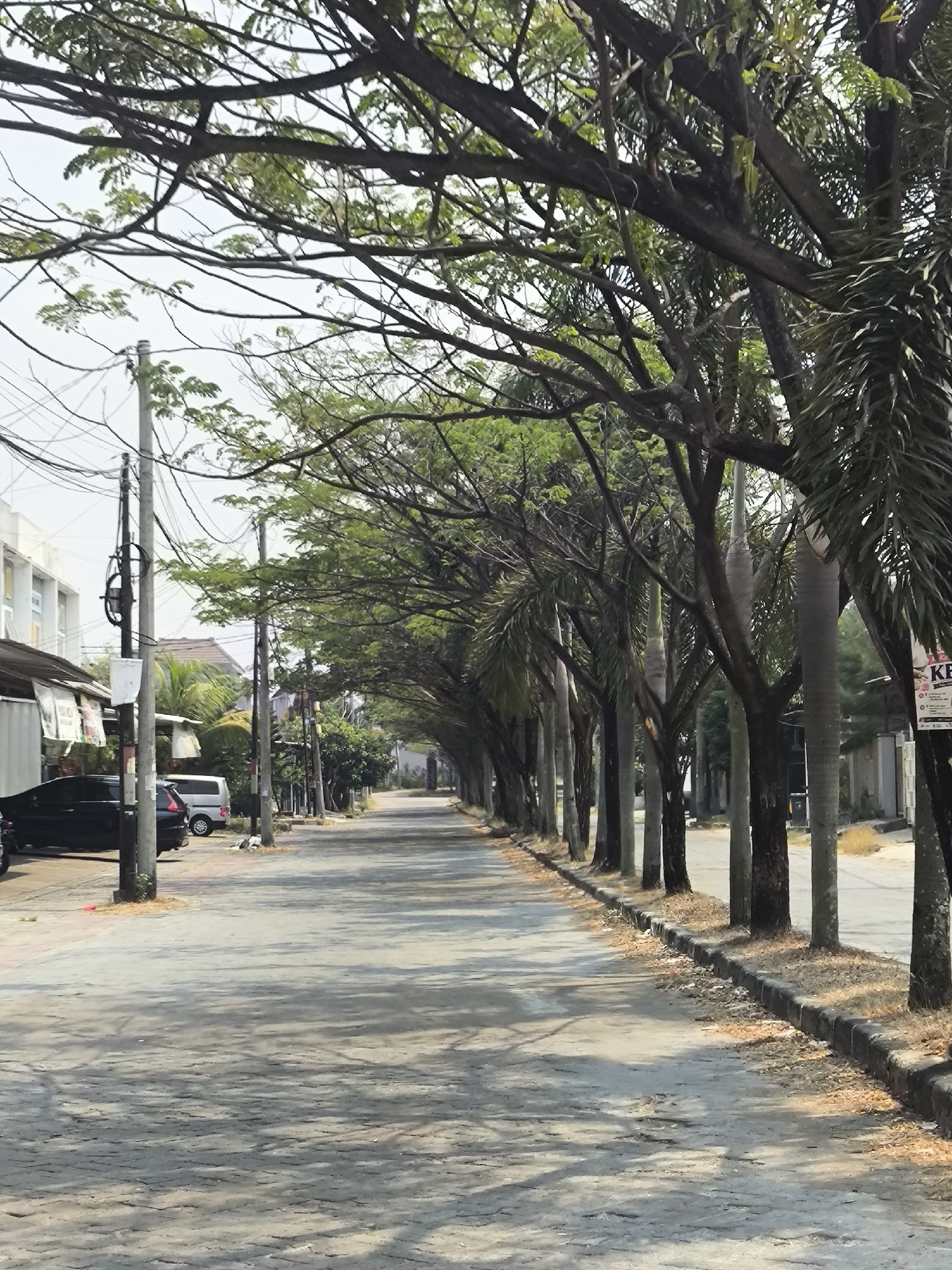 The image shows a street in Cilegon, Indonesia, lined with trees on the right side and buildings and parked cars on the left. The road surface is paved with rough concrete blocks, and a curb runs along the edge of the street on the right. Several utility poles with numerous electrical wires are visible on the left side of the road. The trees, a mix of deciduous and palm varieties, cast shadows on the road. On the left side of the street, there are several buildings, including what appears to be a commercial establishment with awnings and signage. Two cars, a black sedan and a white van, are parked on the left. The sky is overcast. The scene suggests a daytime setting in a developed urban or suburban area.