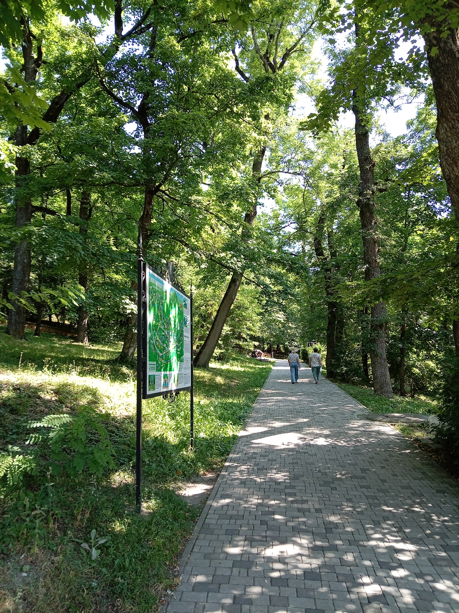 This image depicts a paved pathway in a park located in Zheleznovodsk, Russia. The path is made of grey interlocking stones and is bordered by lush green grass and dense trees with vibrant foliage. Sunlight filters through the canopy, casting dappled shadows on the walkway.
On the left side of the path, a large, green information board is mounted on a black metal stand. The board appears to display a map or informational graphics about the park. The terrain to the left of the path slopes upwards, covered in grass and a variety of plants.
Further down the path, two individuals are walking away from the camera. The person in front is wearing a light-colored hat, a patterned top, and blue jeans. The person behind them is wearing a light-colored top and green pants. They are both walking in the same direction.
The environment is characterized by tall trees that create a shaded, natural setting. The overall impression is of a well-maintained park, likely a popular spot for recreation and relaxation. The time of day appears to be daytime, with bright sunlight suggesting fair weather.